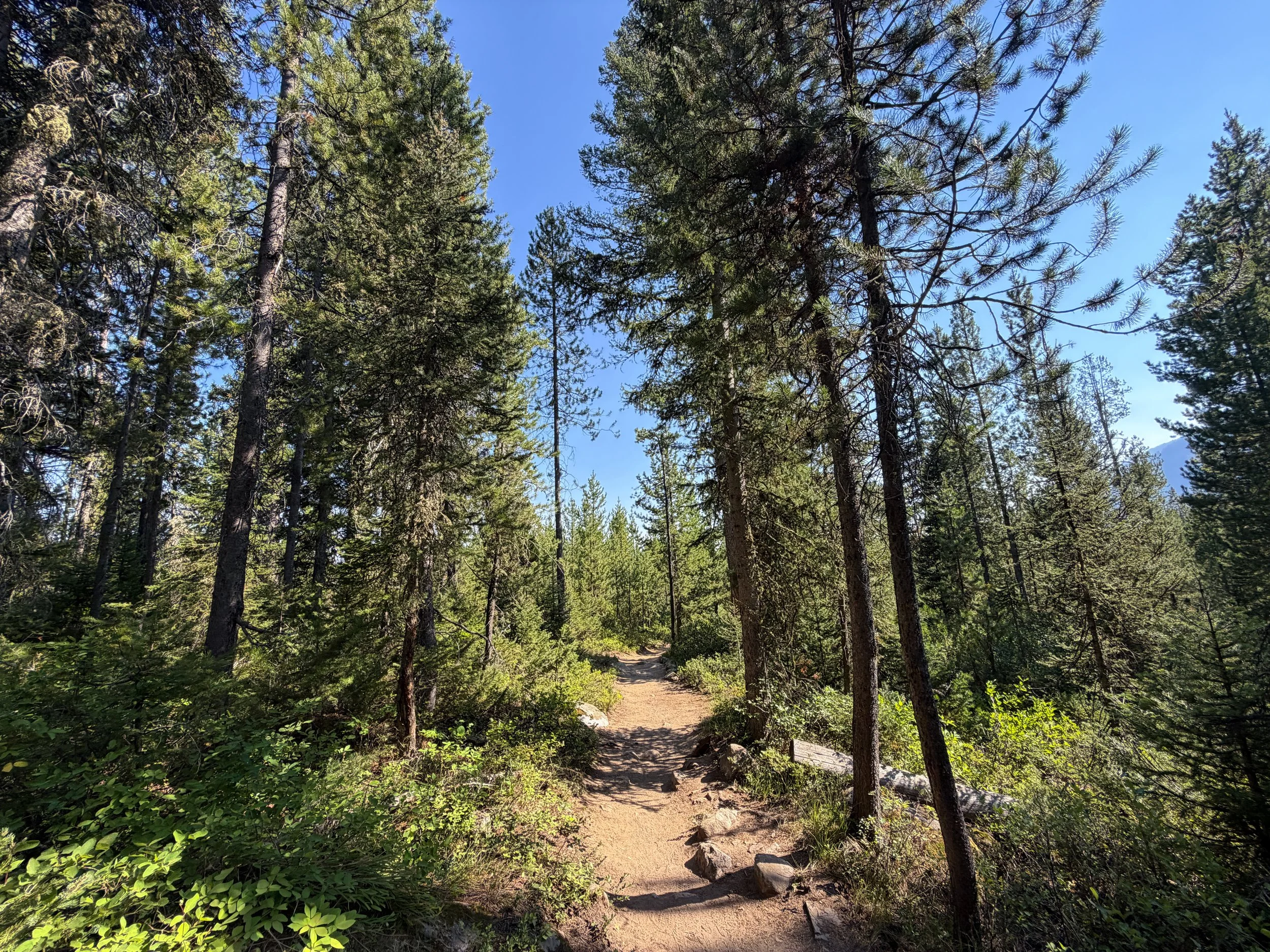 Jenny Lake Trail Grand Teton National Park Wyoming