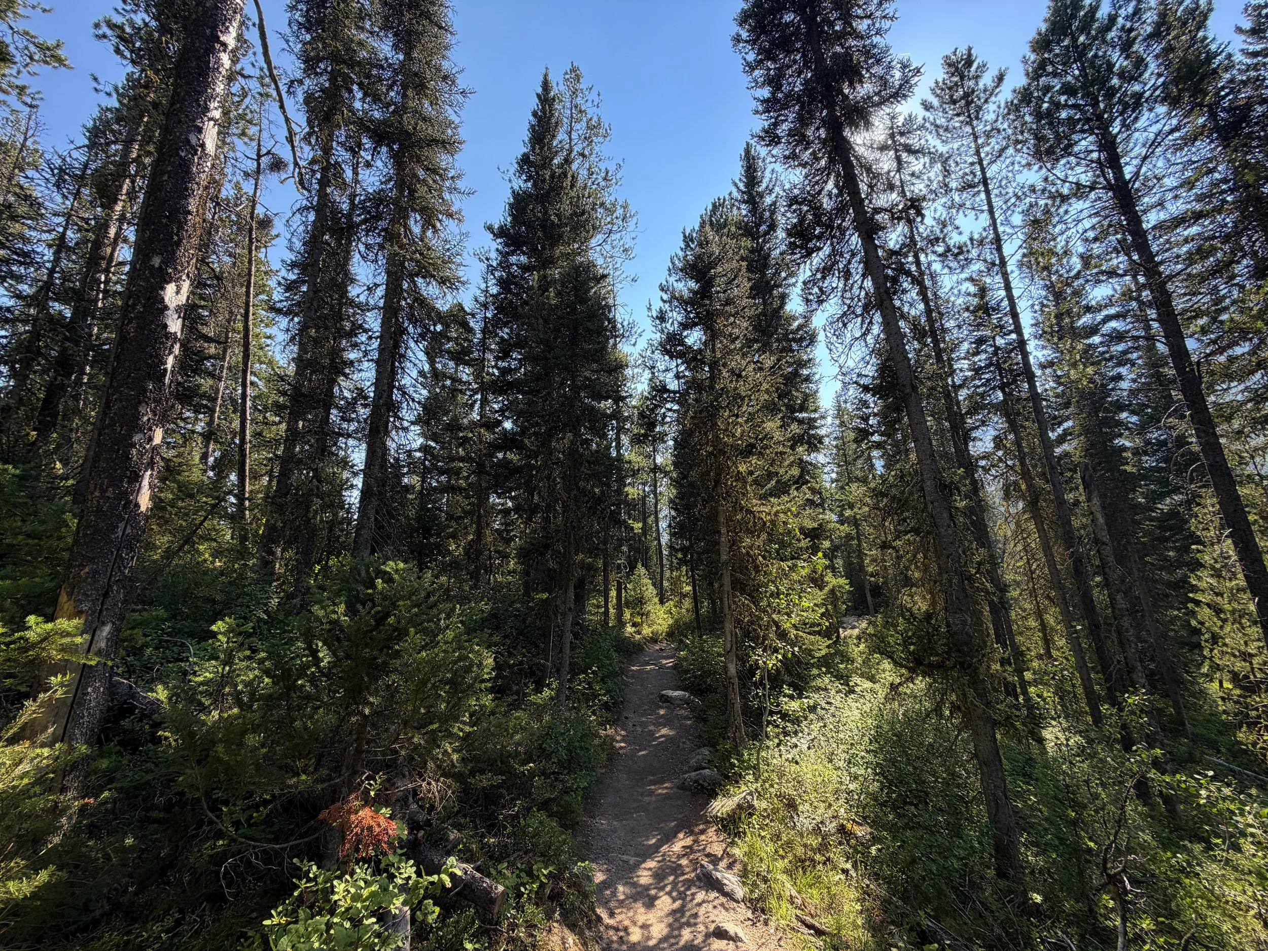 Jenny Lake Trail Grand Teton National Park Wyoming