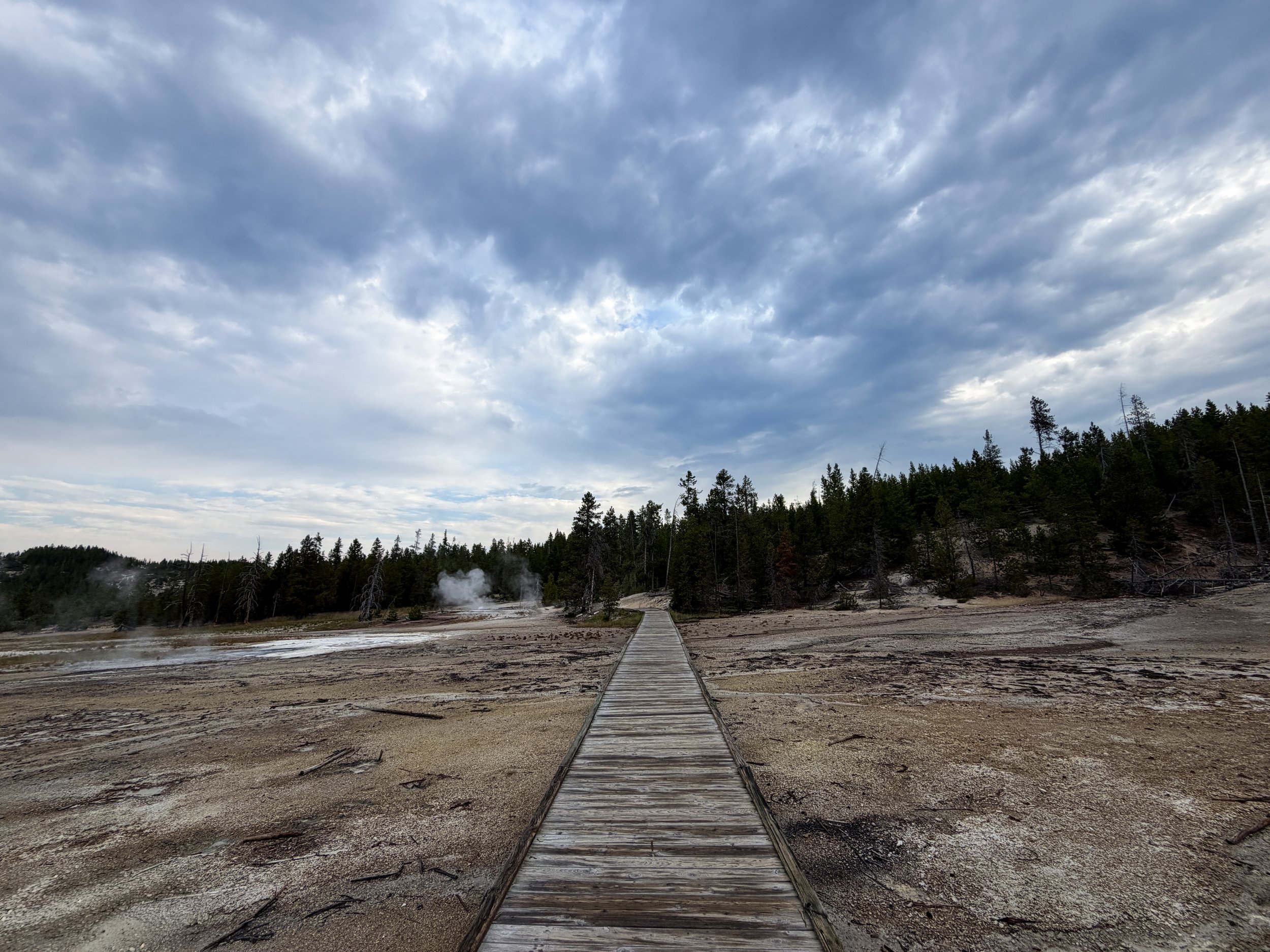 Norris Geyser Basin Trail Yellowstone National Park Wyoming
