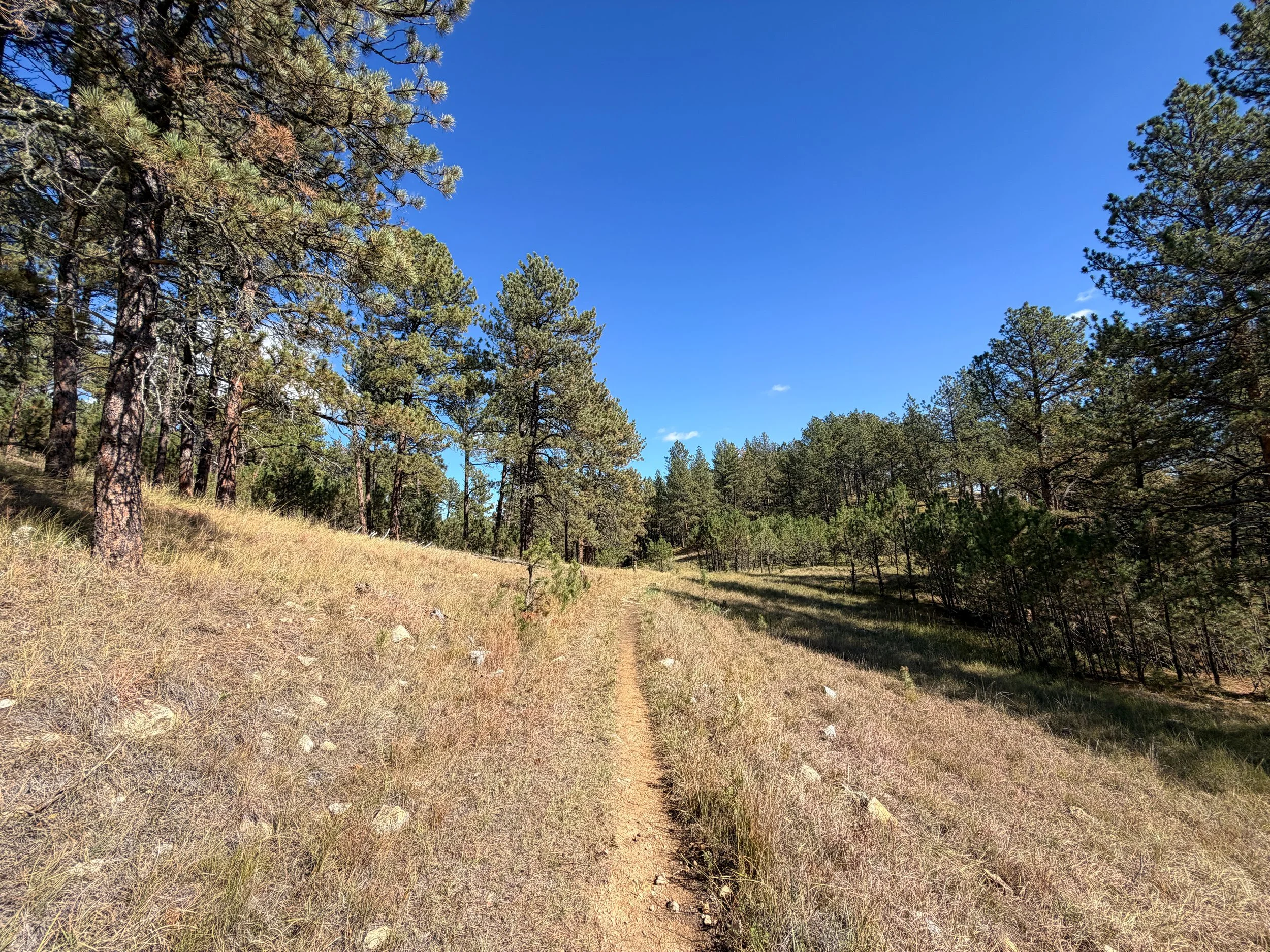 Lookout Point Loop Trail Wind Cave National Park South Dakota