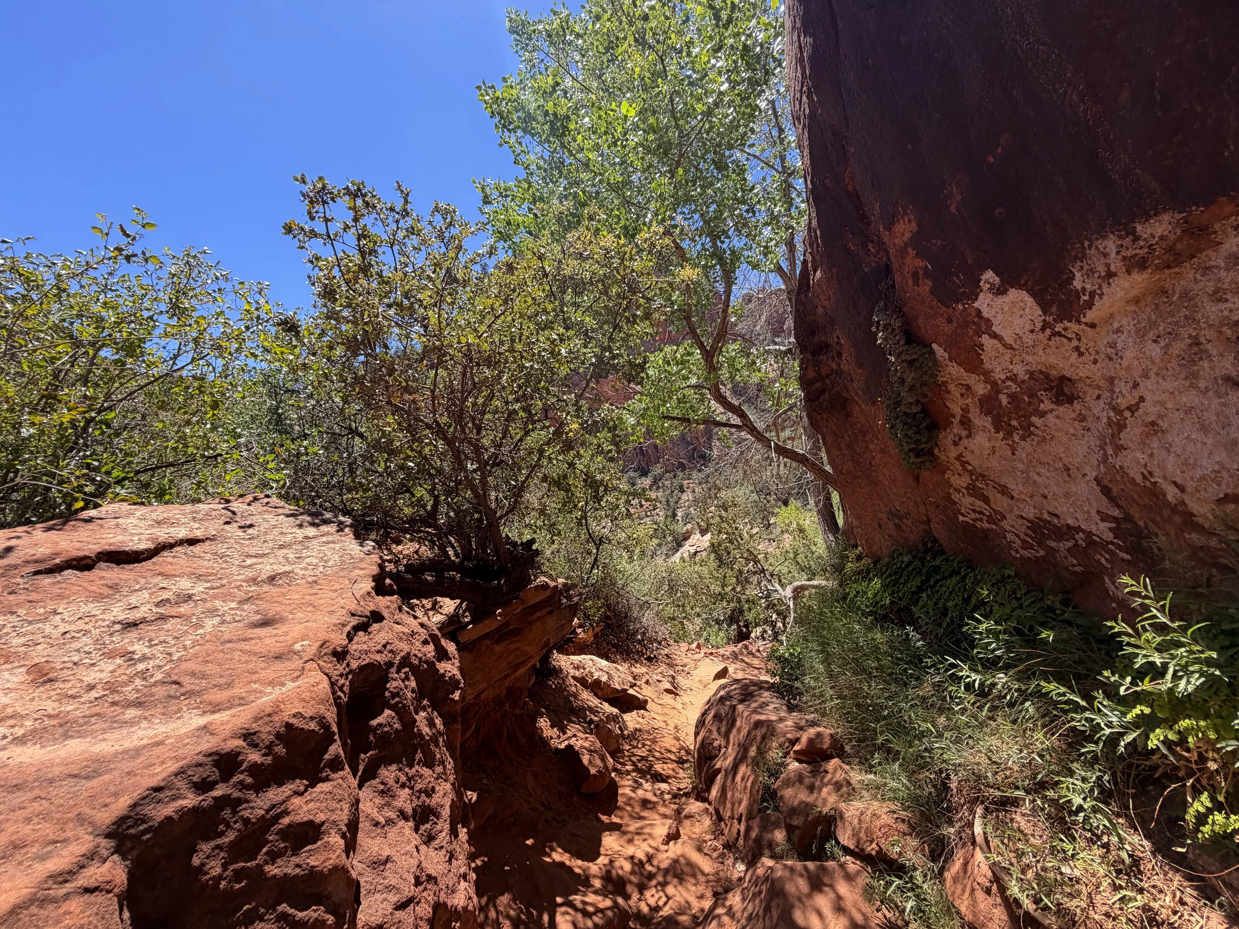 Zion Canyon Overlook Trail Zion National Park Utah