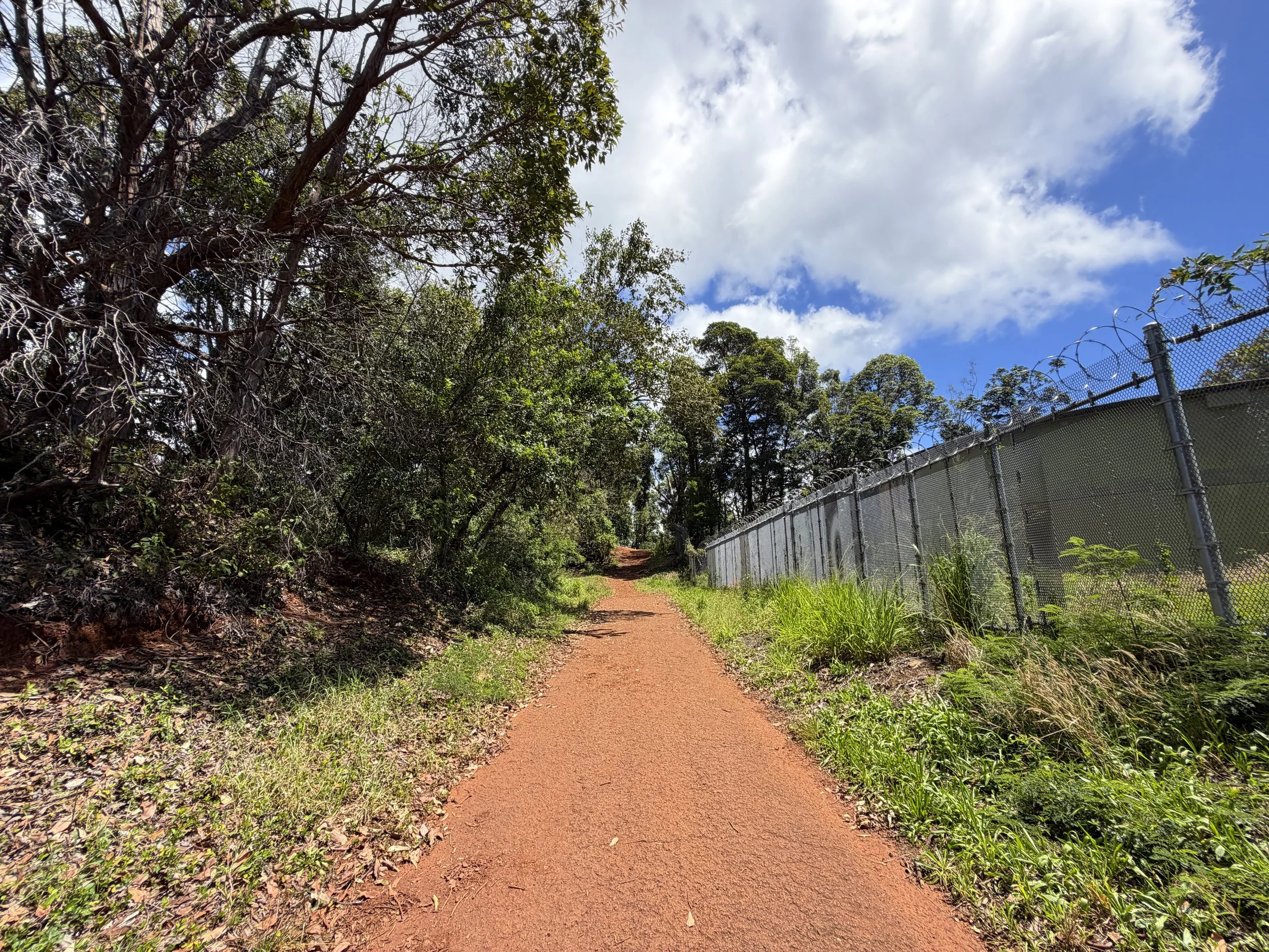 Manana Ridge Trail to Waimano Pools Oahu Hawaii