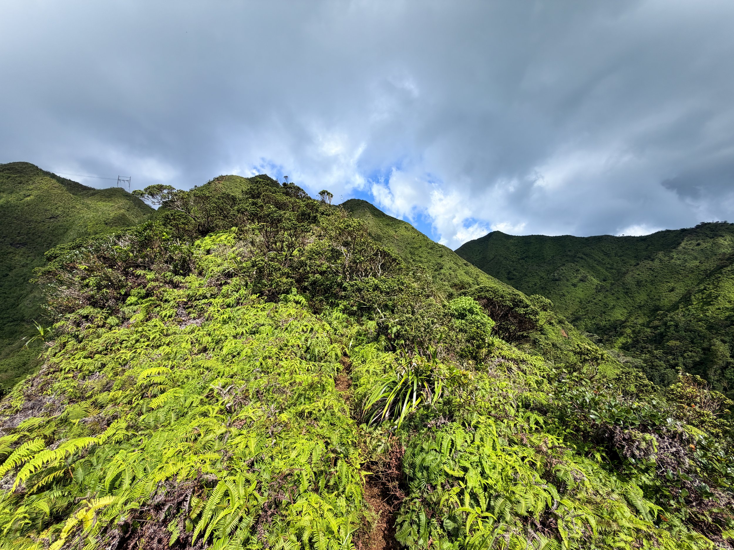 Kaau Crater Trail Oahu Hawaii