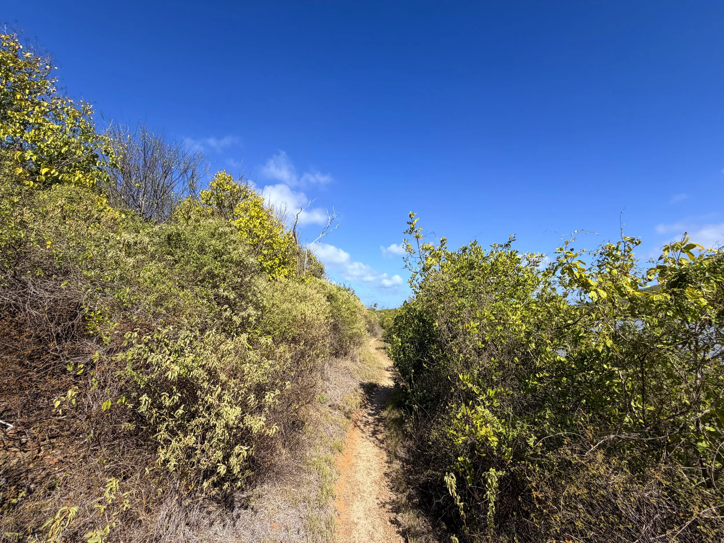 Drunk Bay Hike Virgin Islands National Park