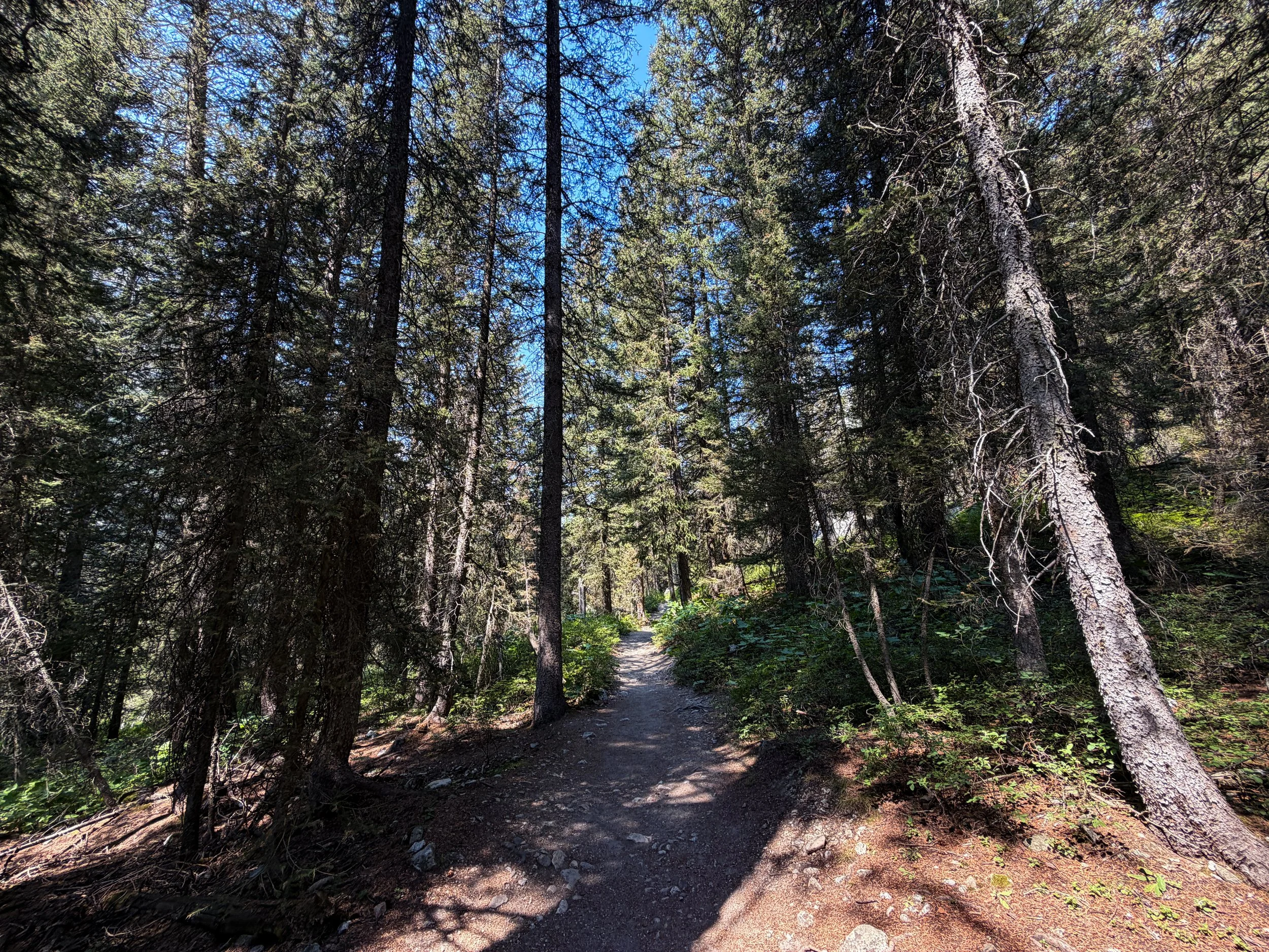 Cascade Canyon Trail Grand Teton National Park Wyoming