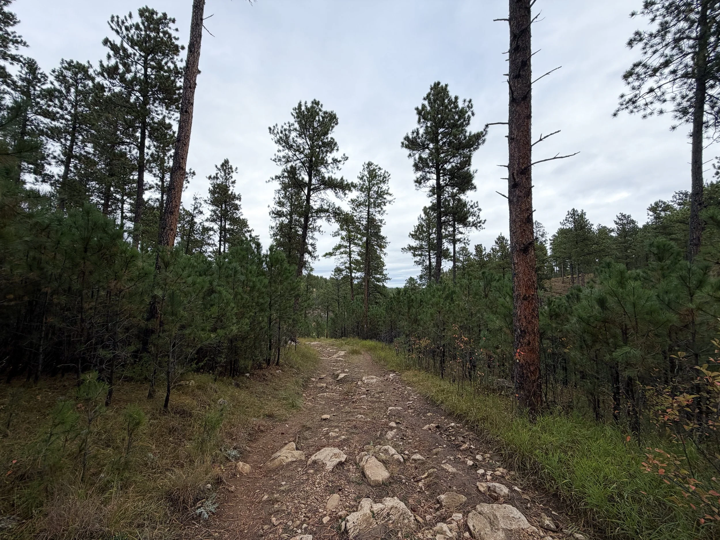 Buzzards Roost Loop Hike Black Hills Rapid City South Dakota