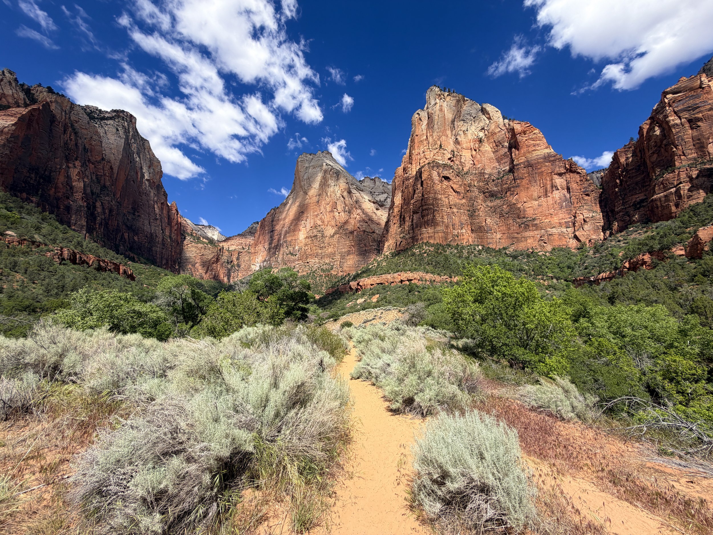 Sand Bench Trail Zion National Park Utah