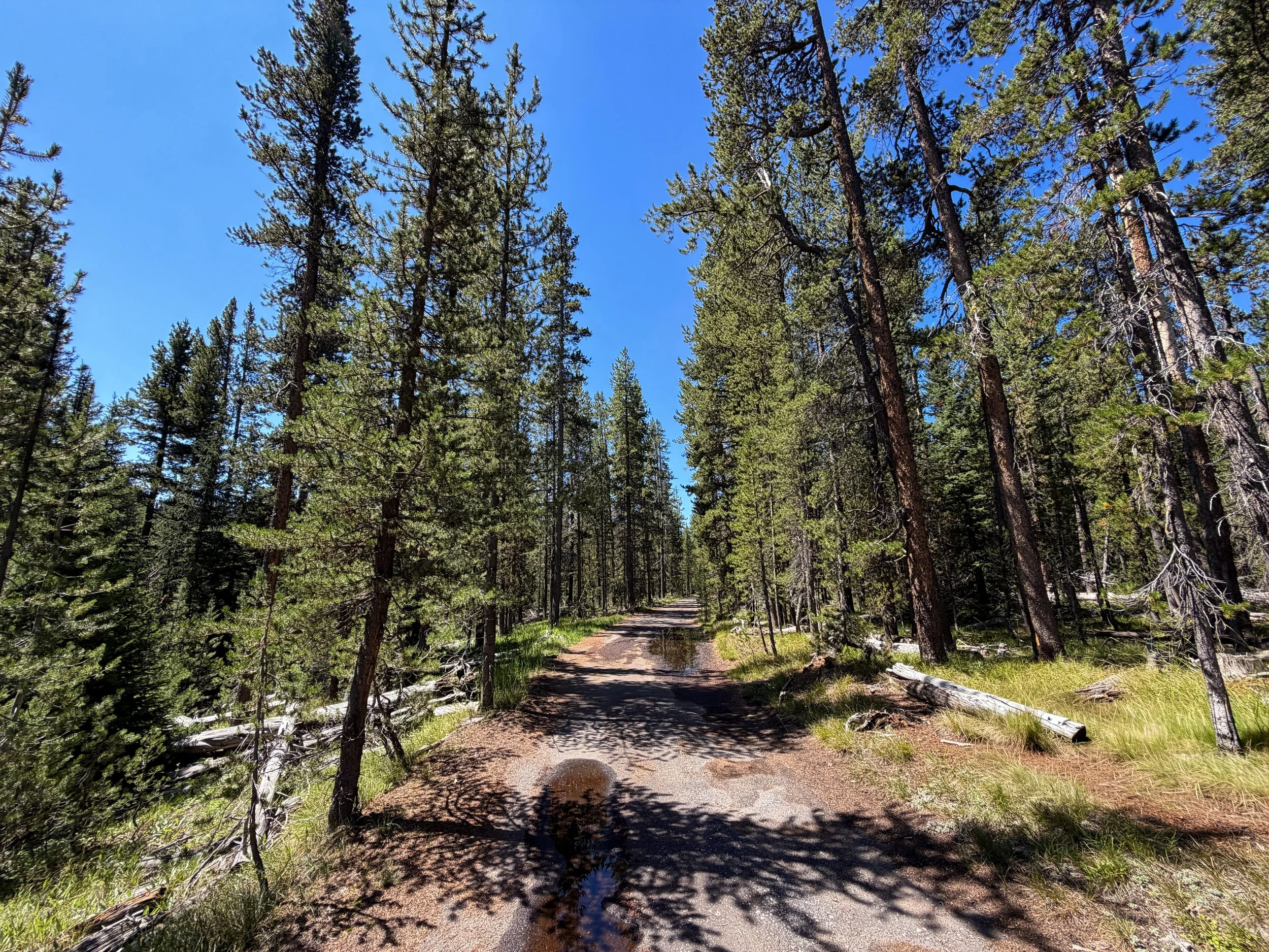 Lone Star Geyser Trail Yellowstone National Park Wyoming