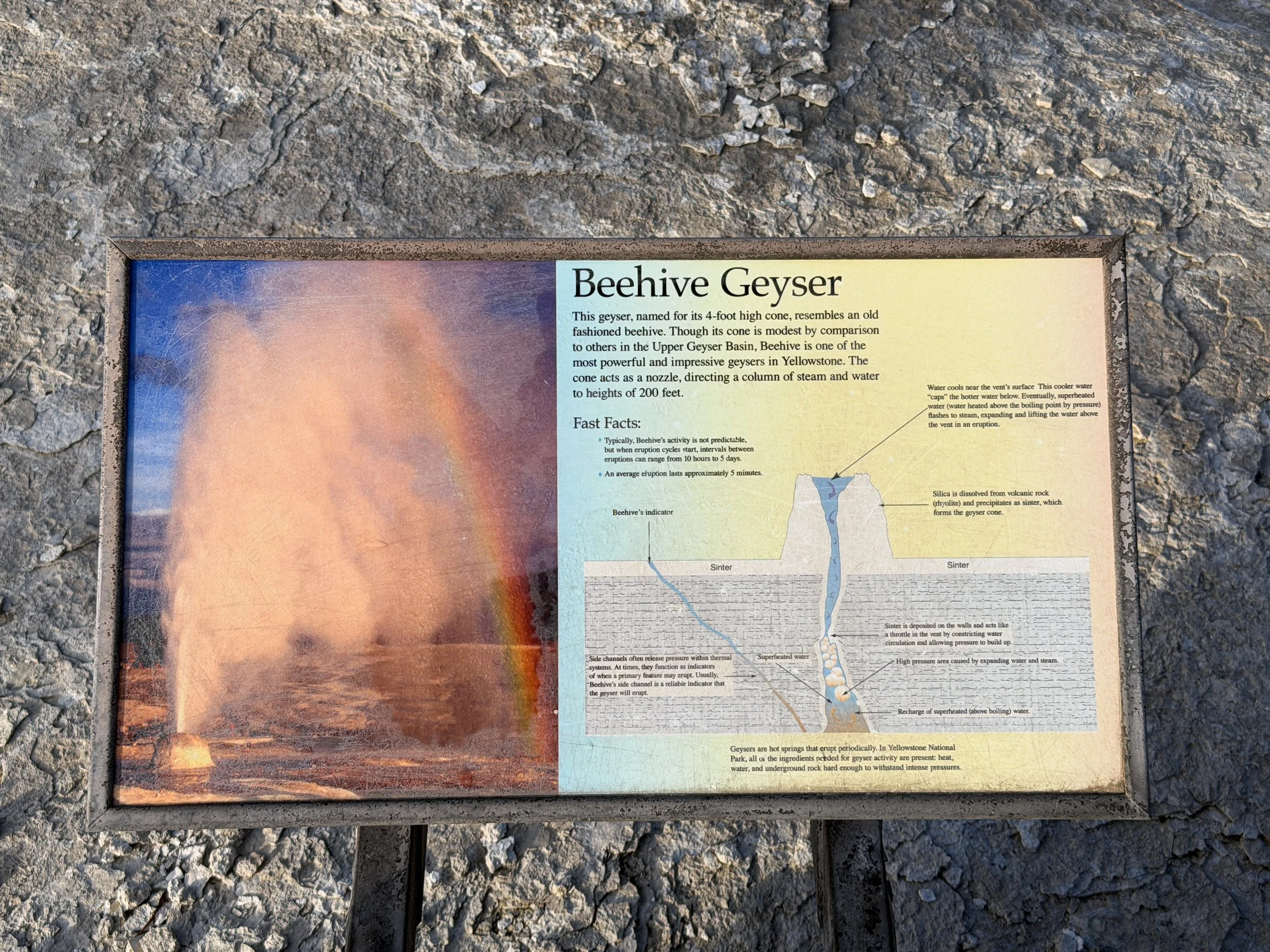 Beehive Geyser Yellowstone National Park Wyoming