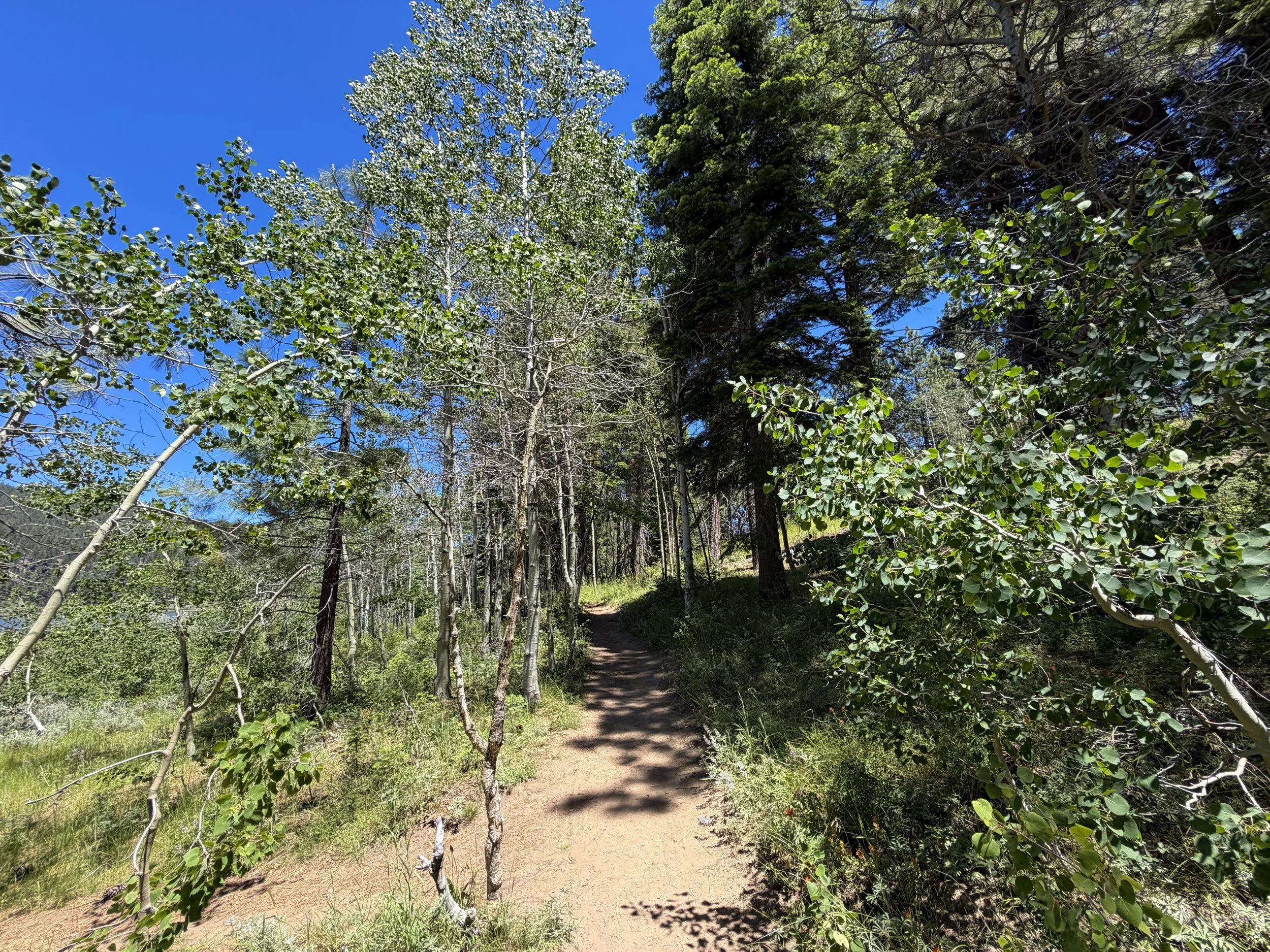 Spooner Lake Loop Trail Lake Tahoe Nevada