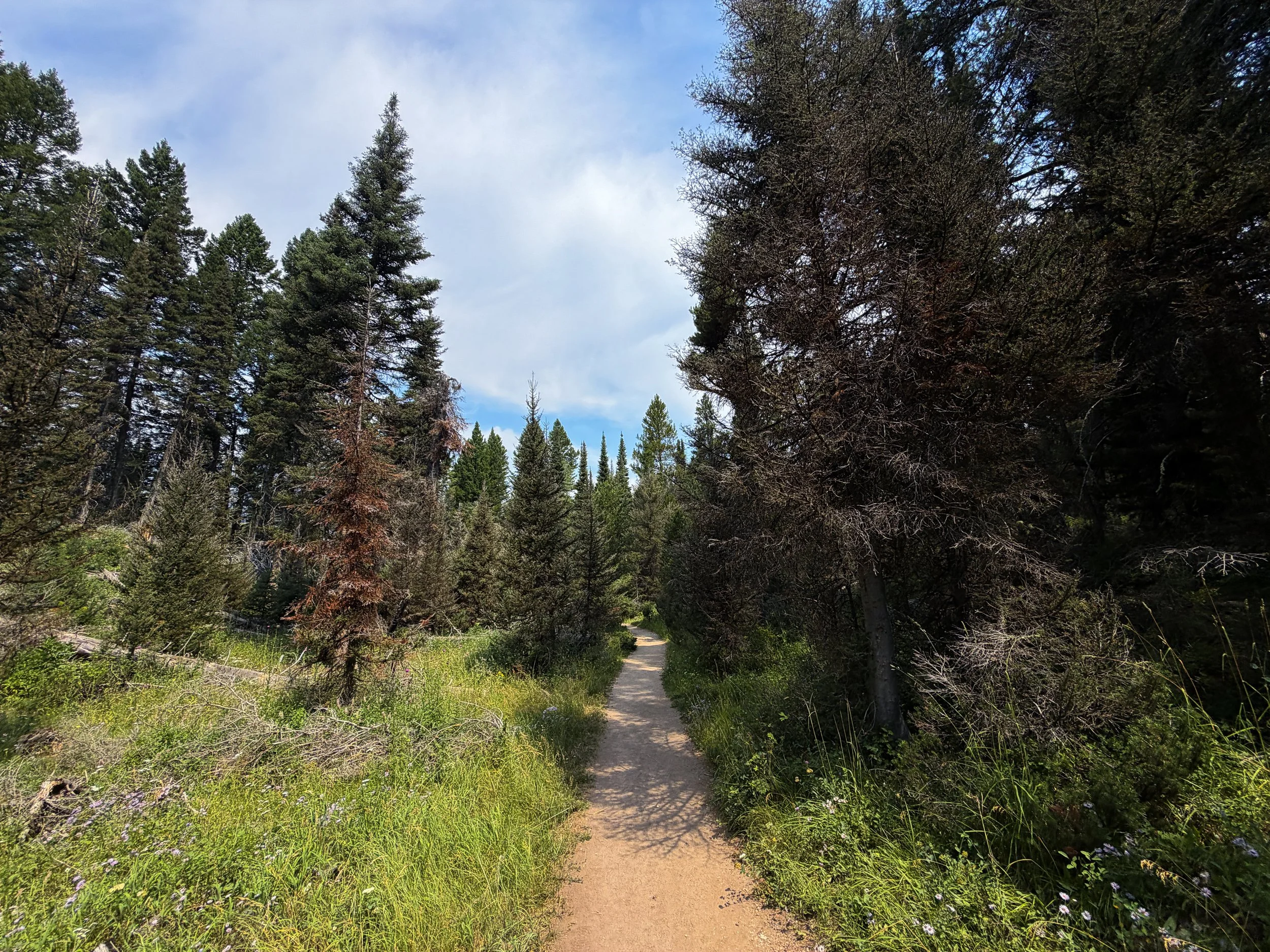 Phelps Lake Loop Hike Grand Teton National Park Wyoming