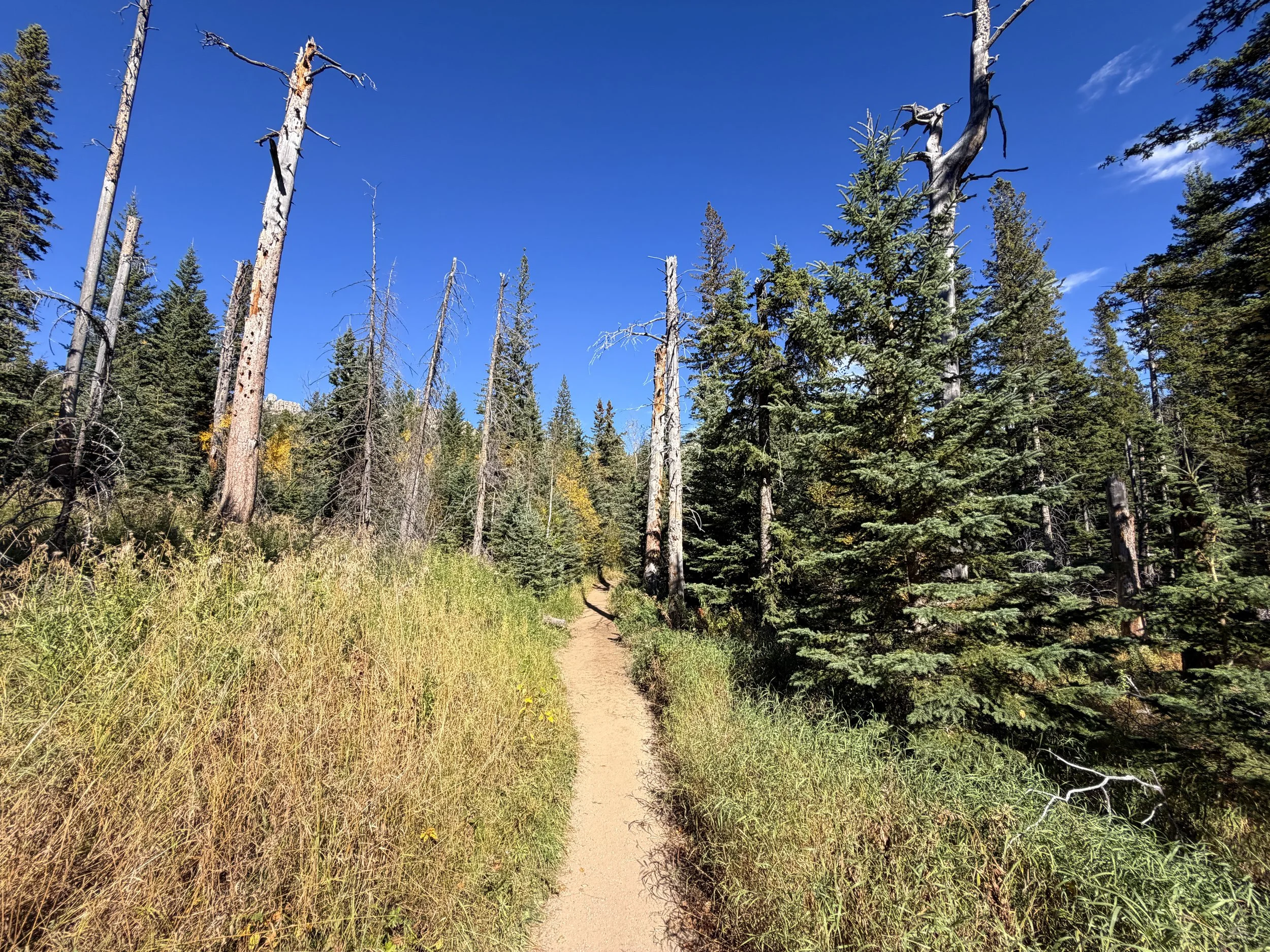 Black Elk Peak via Trail 9 Black Hills South Dakota