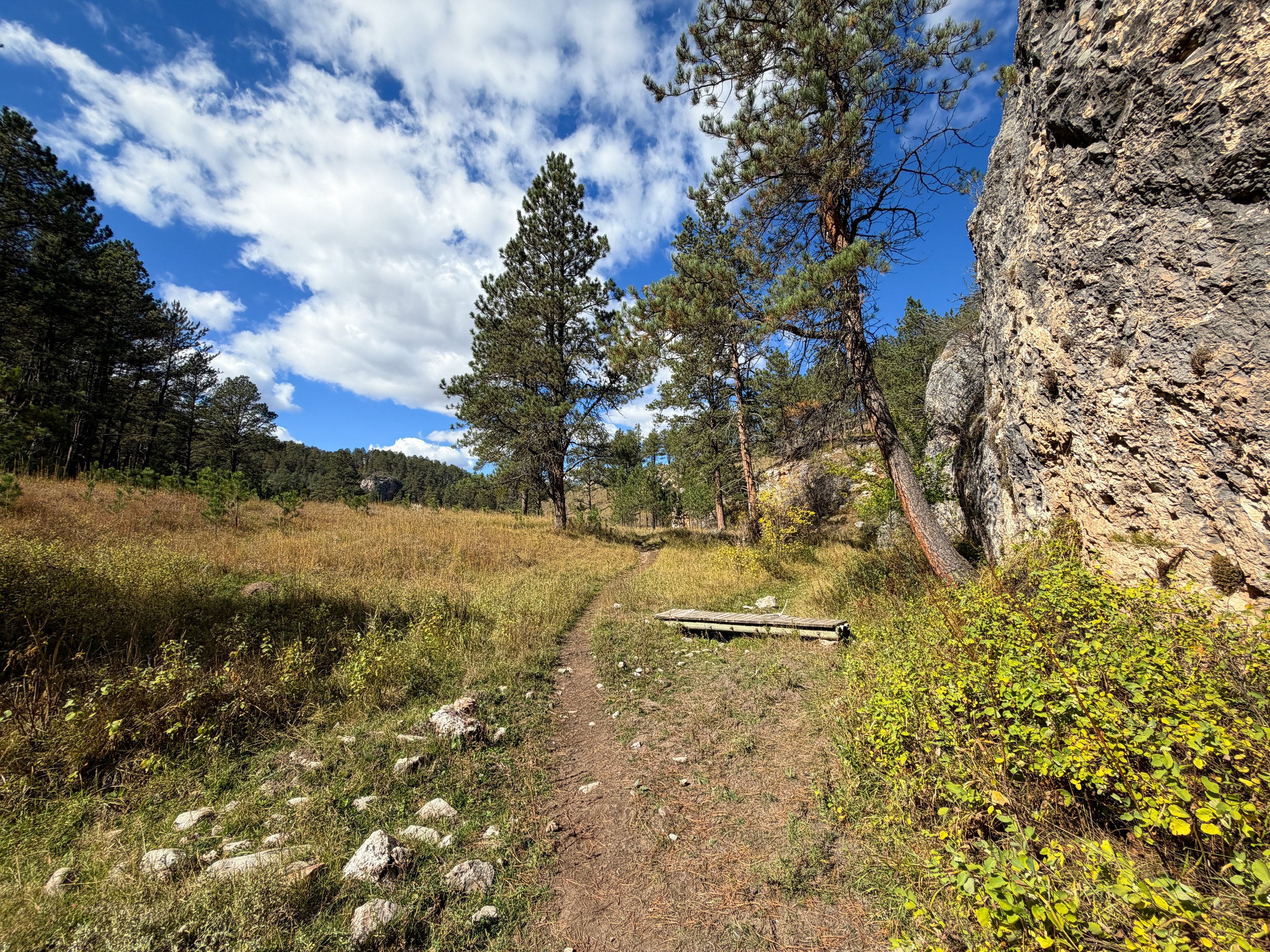 Lookout Point Loop Trail Wind Cave National Park South Dakota