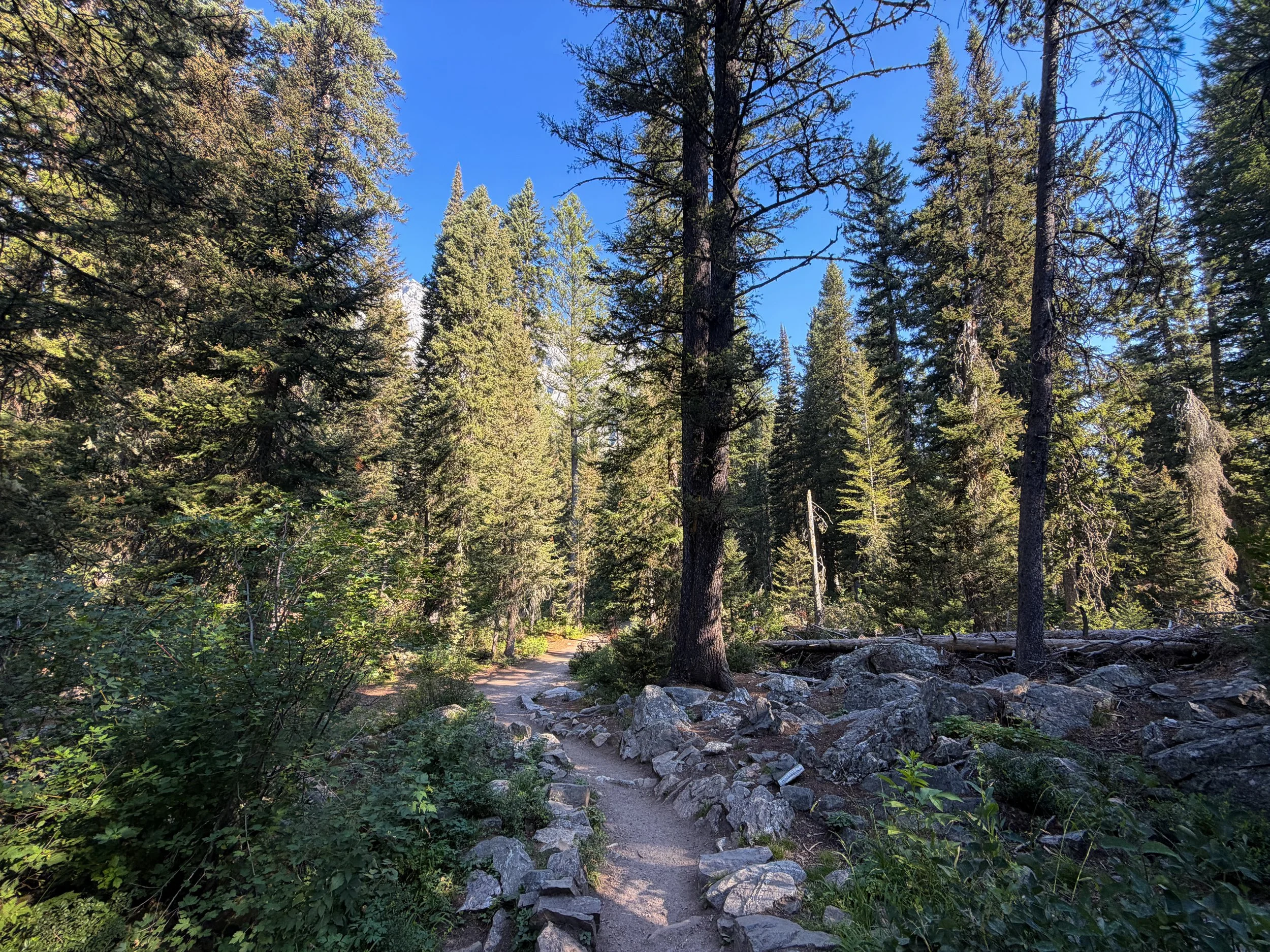 Jenny Lake Loop Trail to Hidden Falls Grand Teton National Park Wyoming