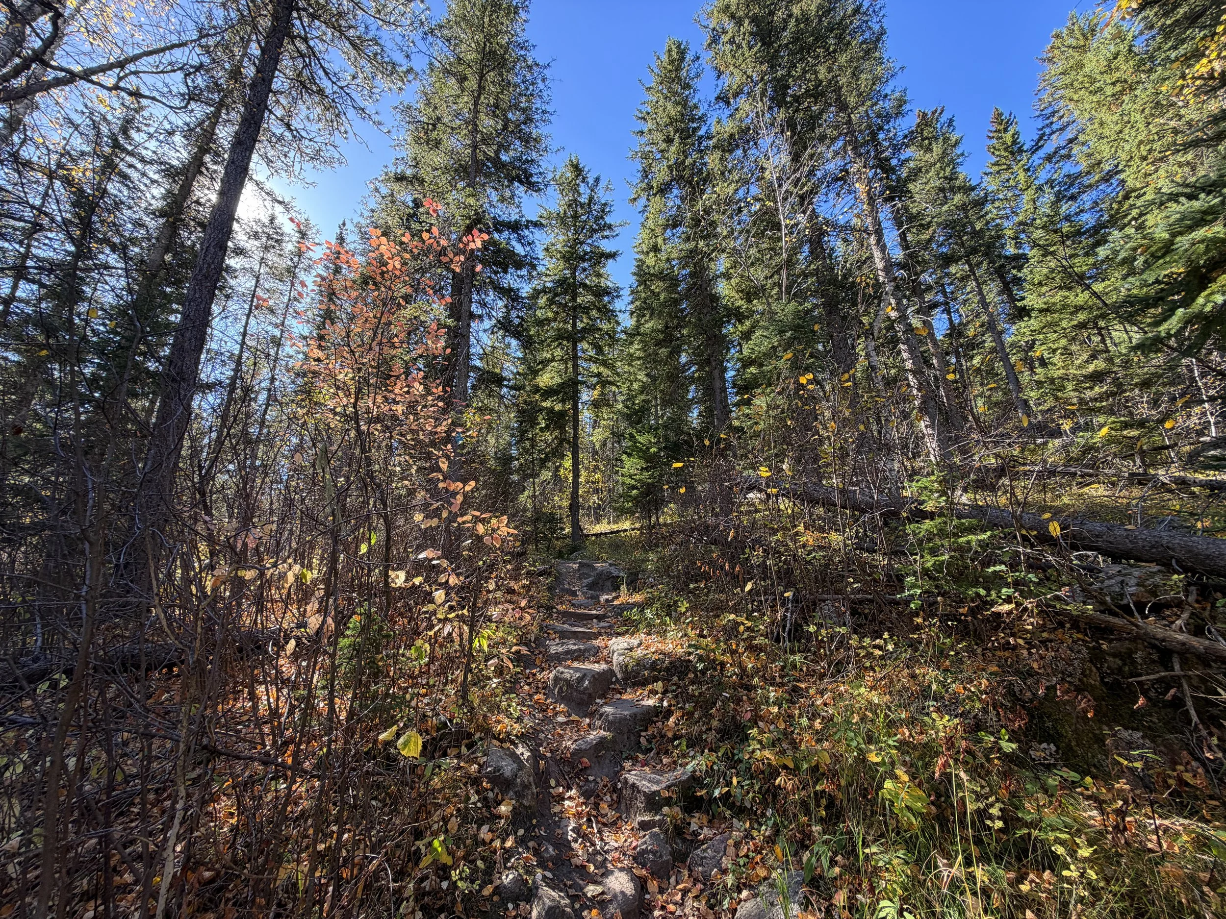 Sunday Gulch Trail Custer State Park Black Hills South Dakota