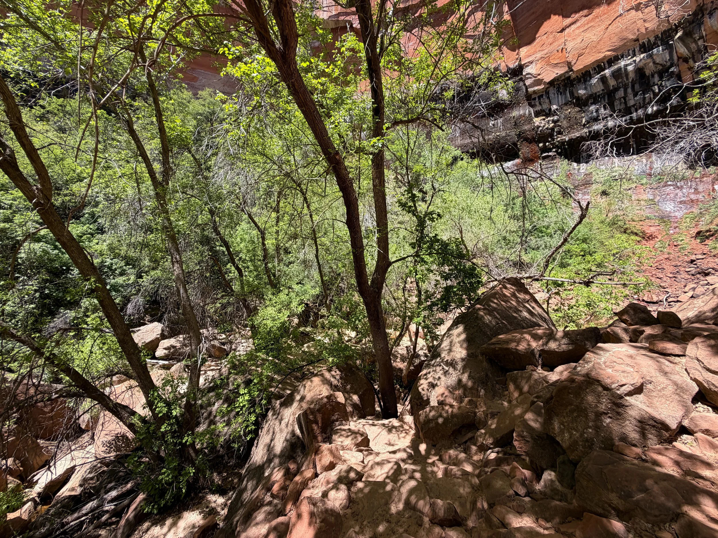 Upper Emerald Pool Trail Zion National Park Utah