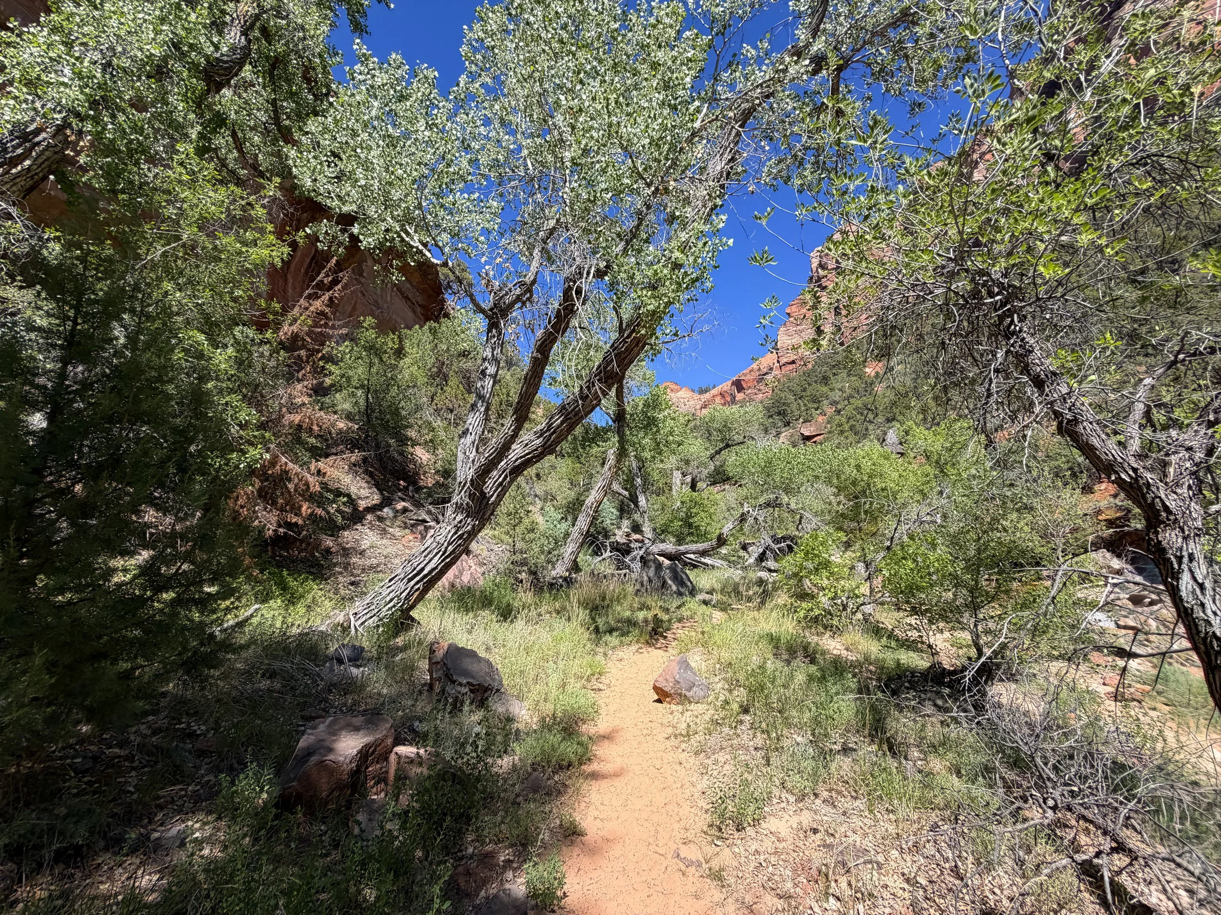 Subway Trail via Left Fork North Creek Zion National Park Utah