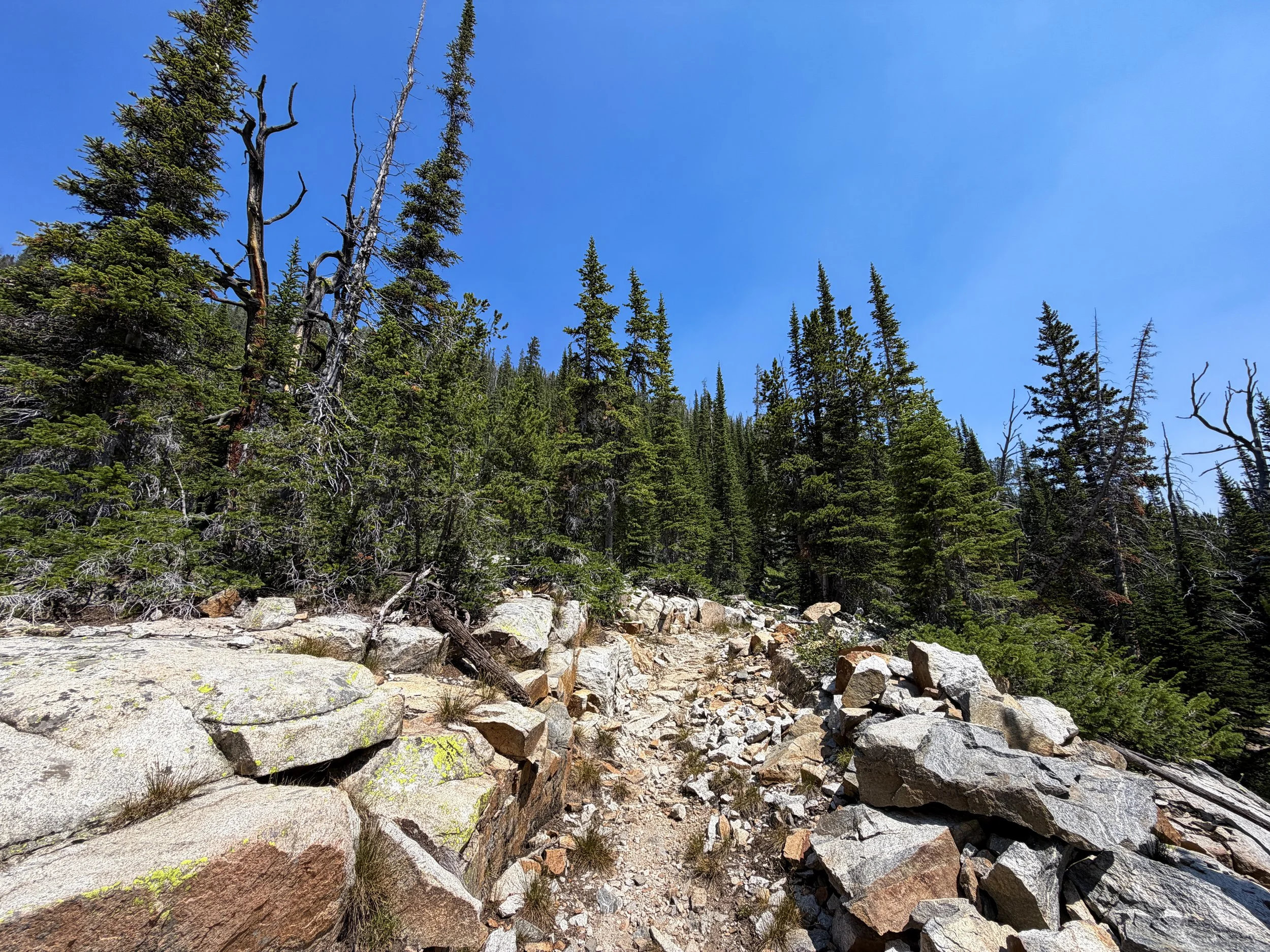 East Rosebud Trail The Beaten Path Beartooth Mountains Montana