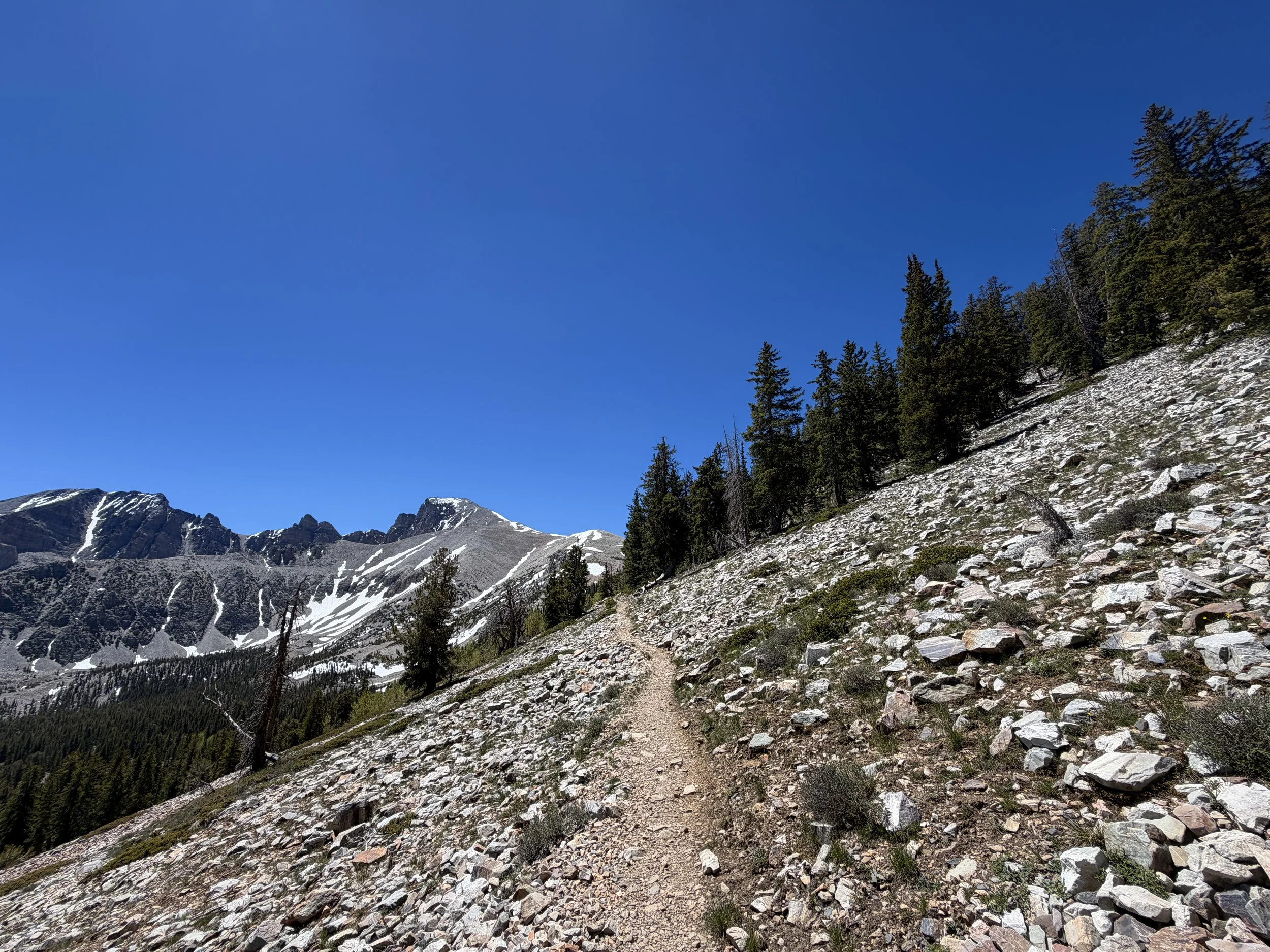 Wheeler Peak Hike Great Basin National Park Nevada