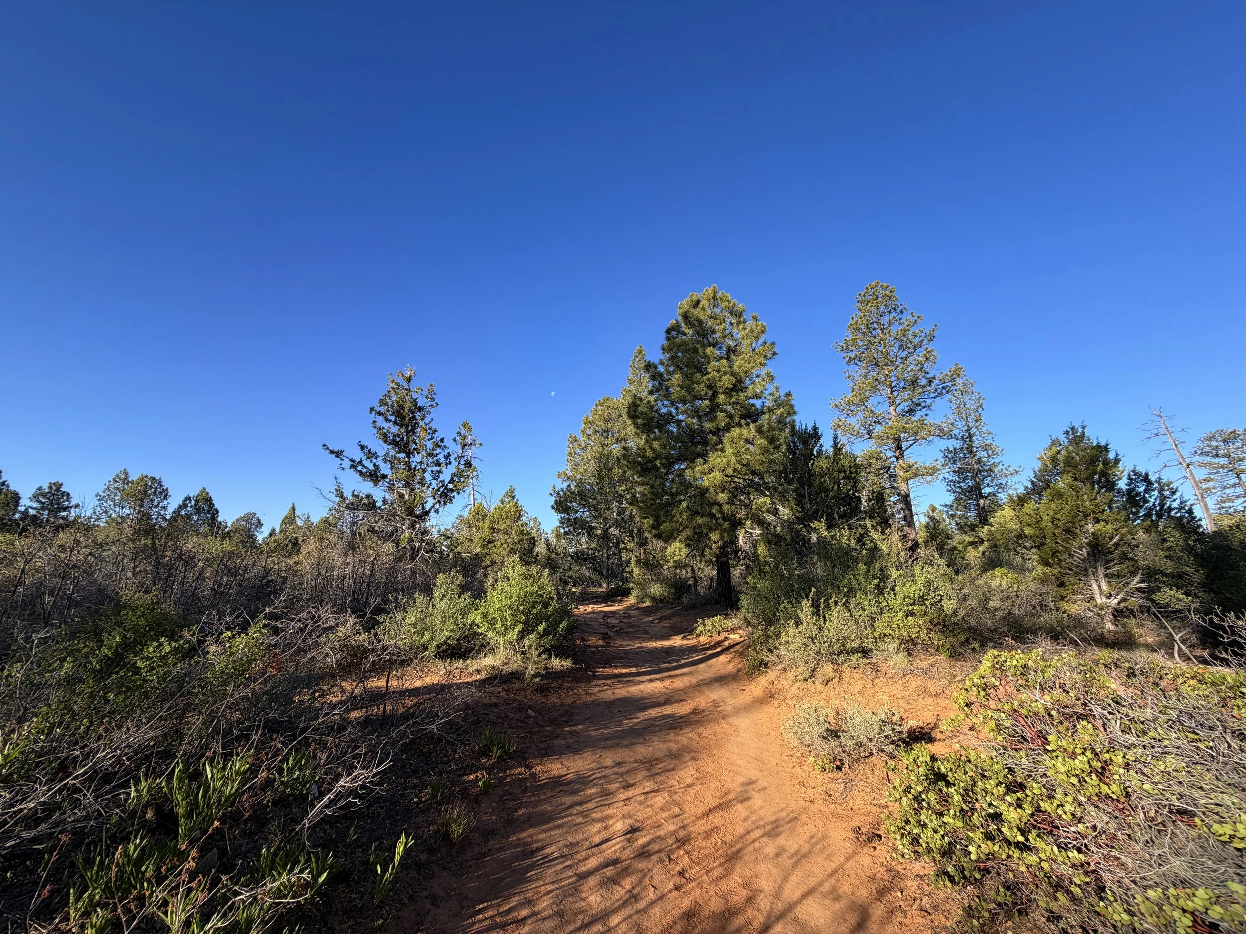 East Mesa Trail to Observation Point Zion National Park Utah