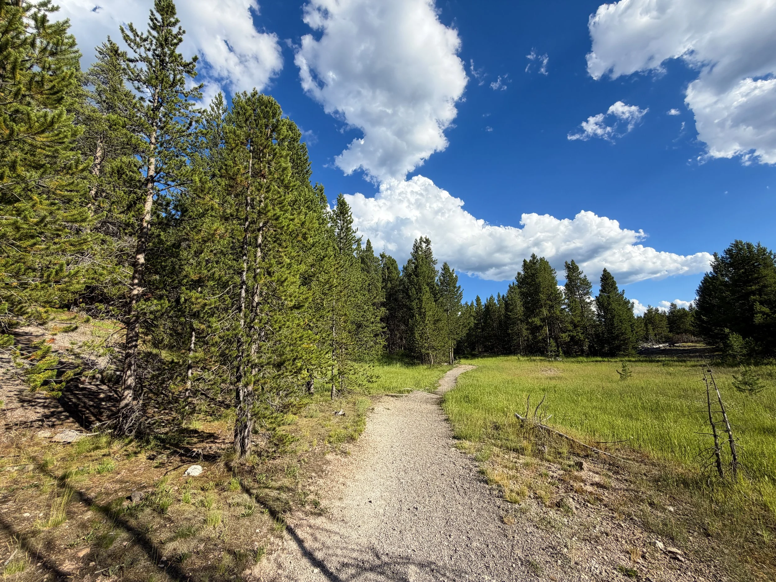 Artemisia Trail to the Morning Glory Pool Yellowstone National Park Wyoming