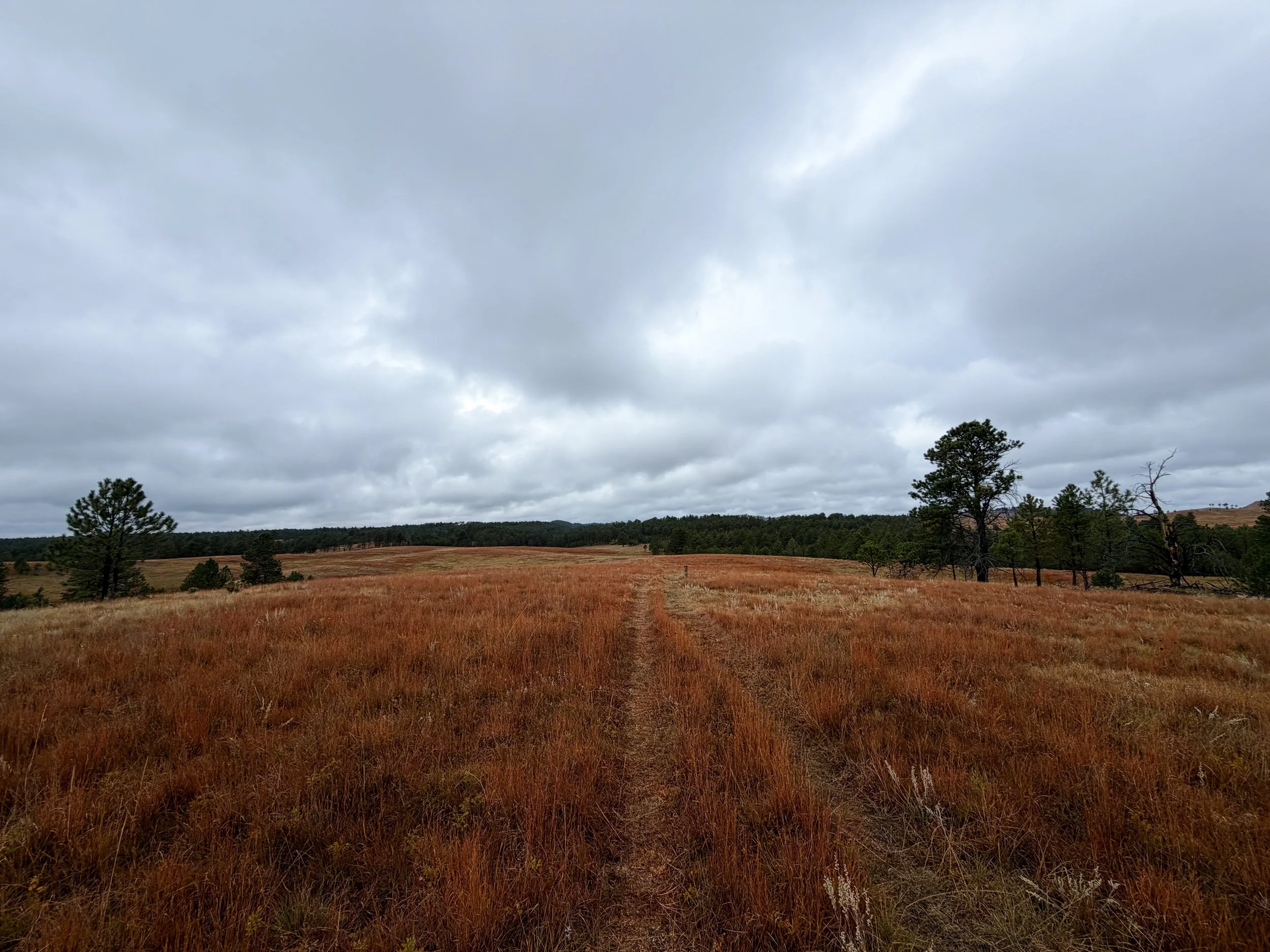 Highland Creek to Wind Cave Canyon Trail Wind Cave National Park South Dakota