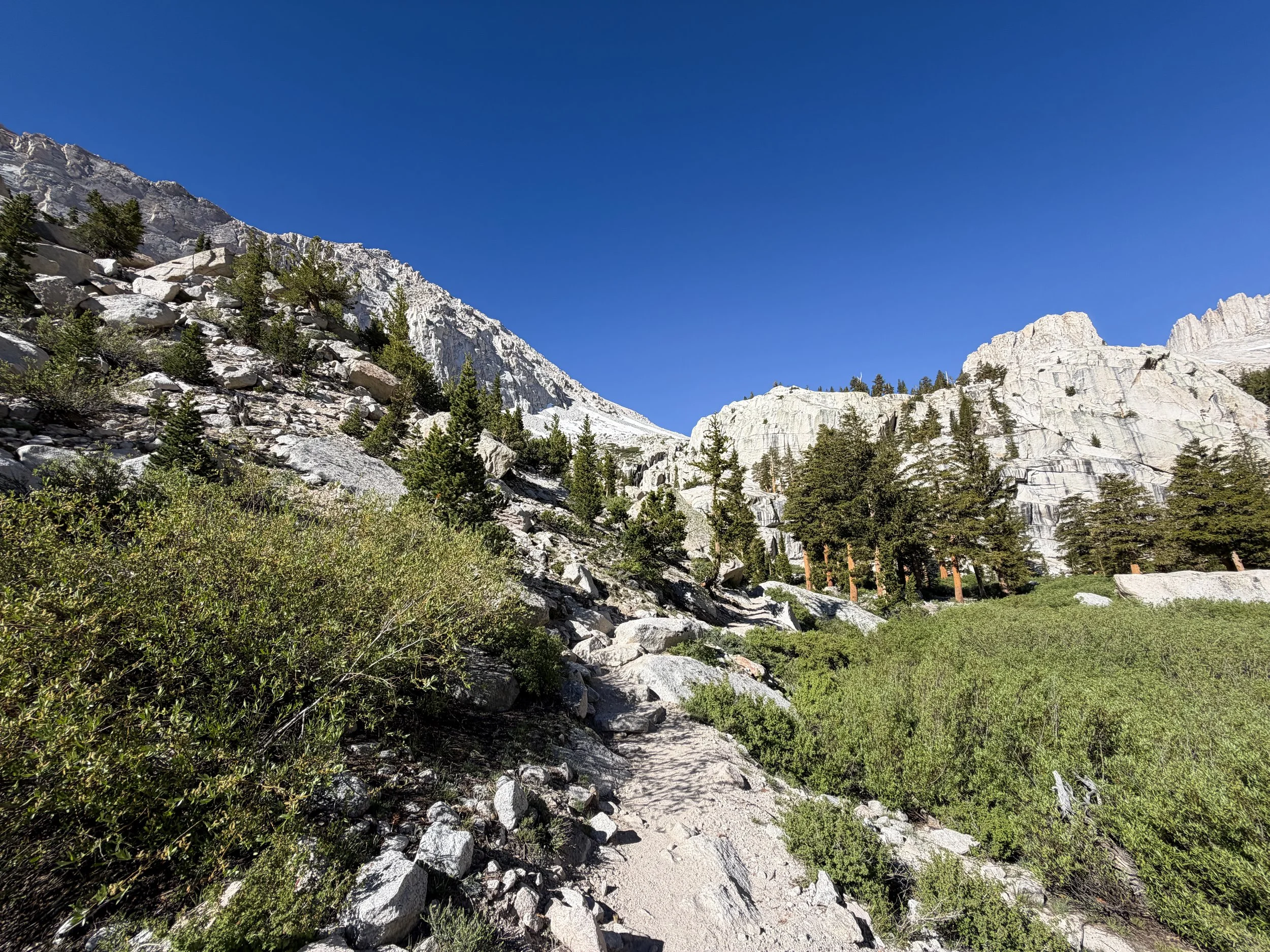 Bighorn Park Meadow Mt. Whitney Trail California