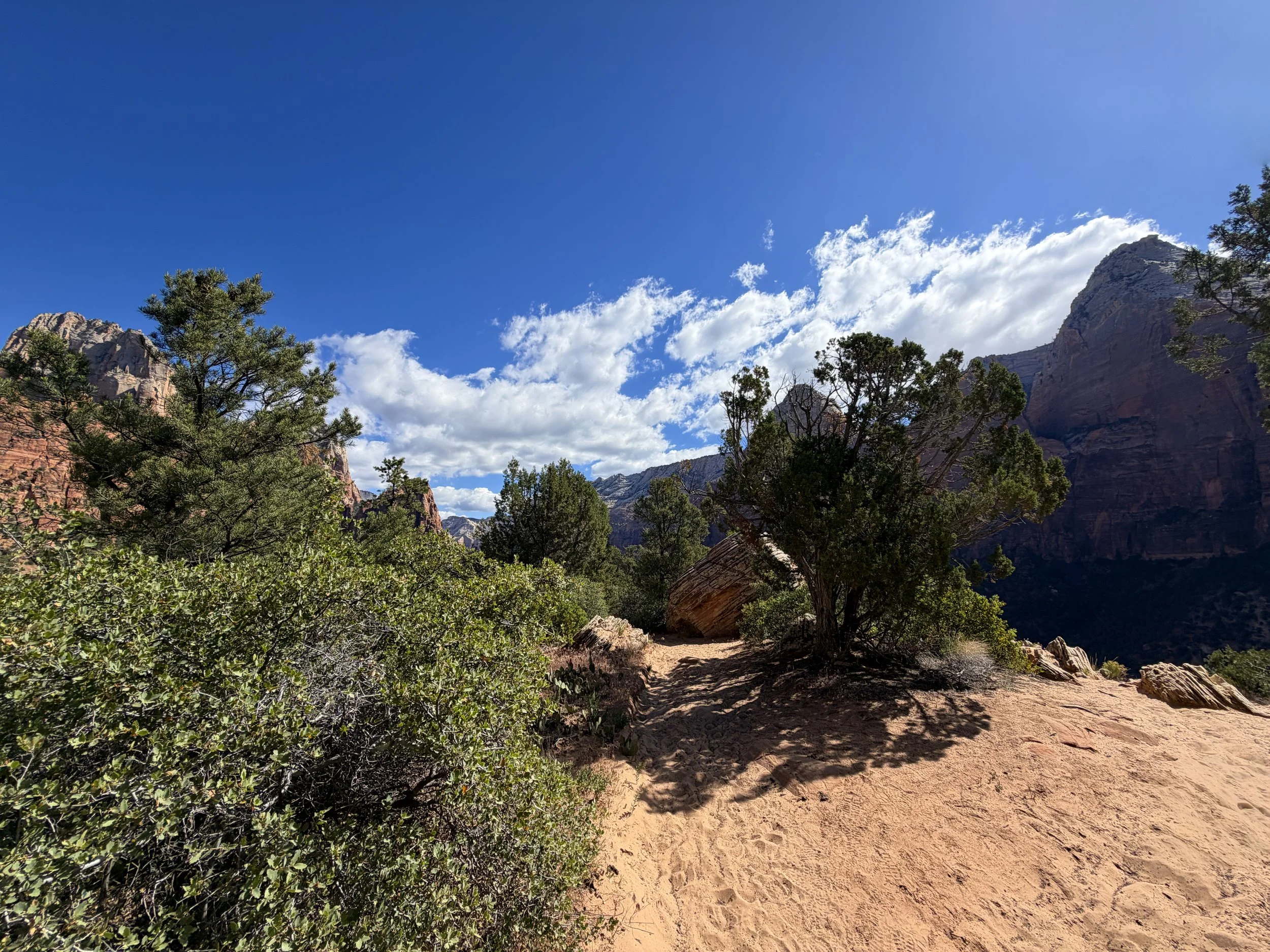 Sand Bench Trail Zion National Park Utah