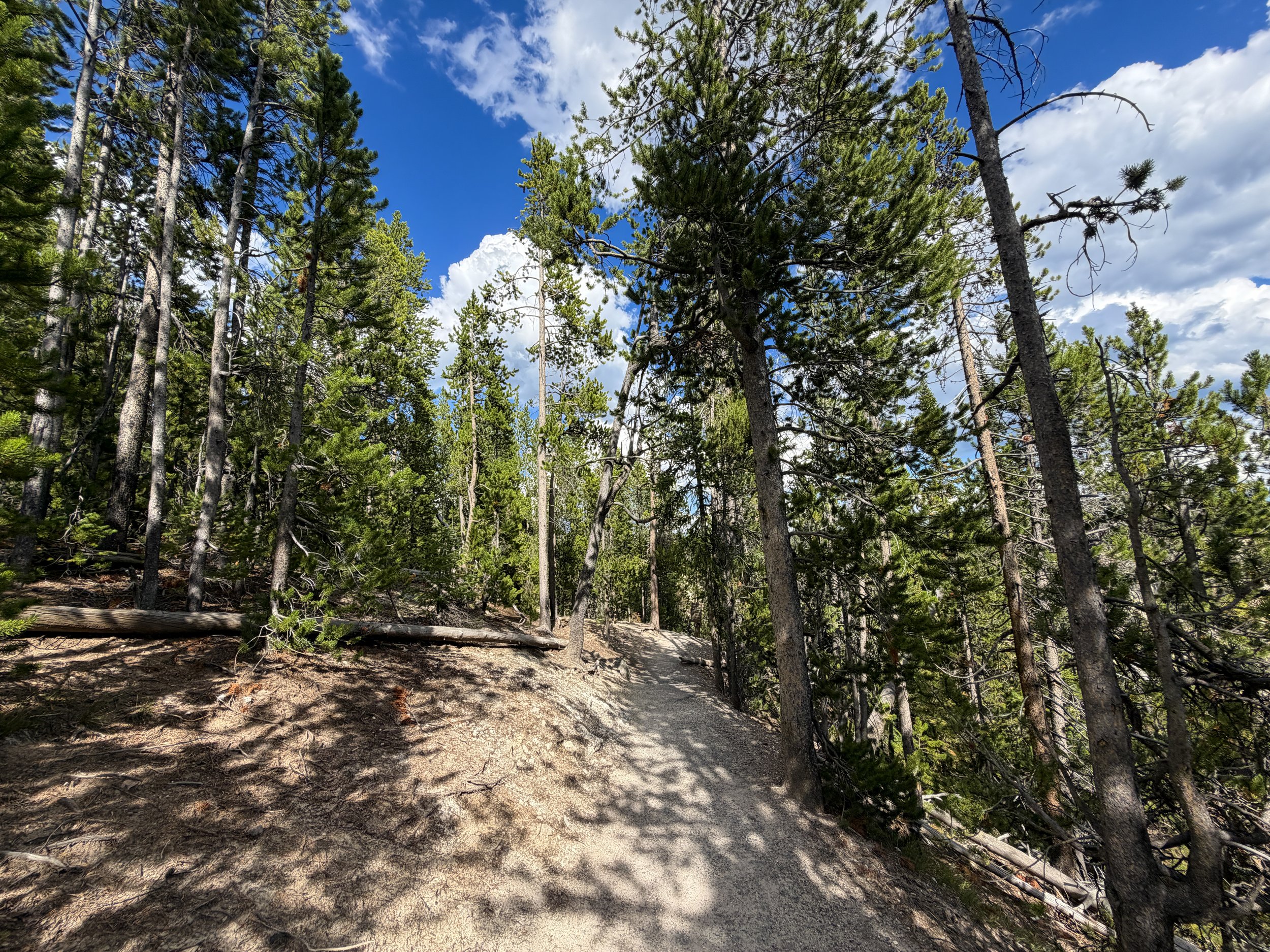 North Rim Trail Yellowstone National Park Wyoming
