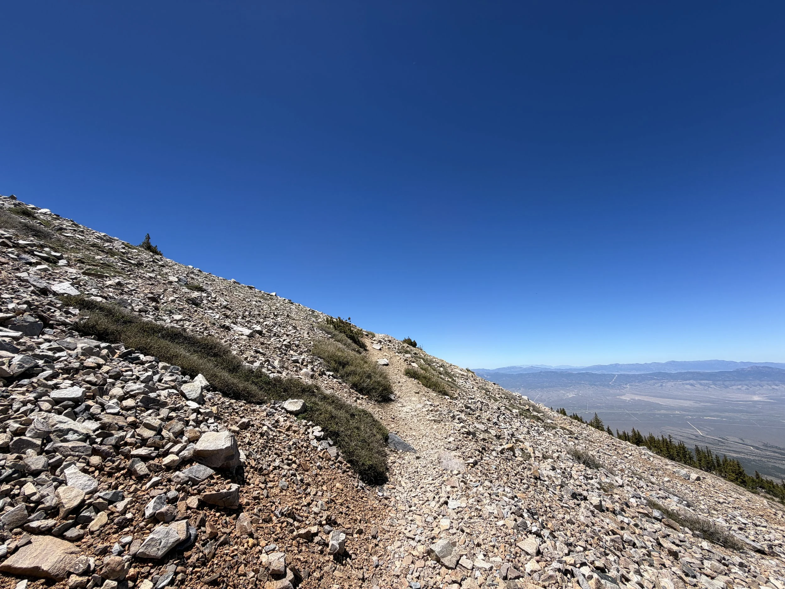 Wheeler Peak Summit Trail Great Basin National Park Nevada