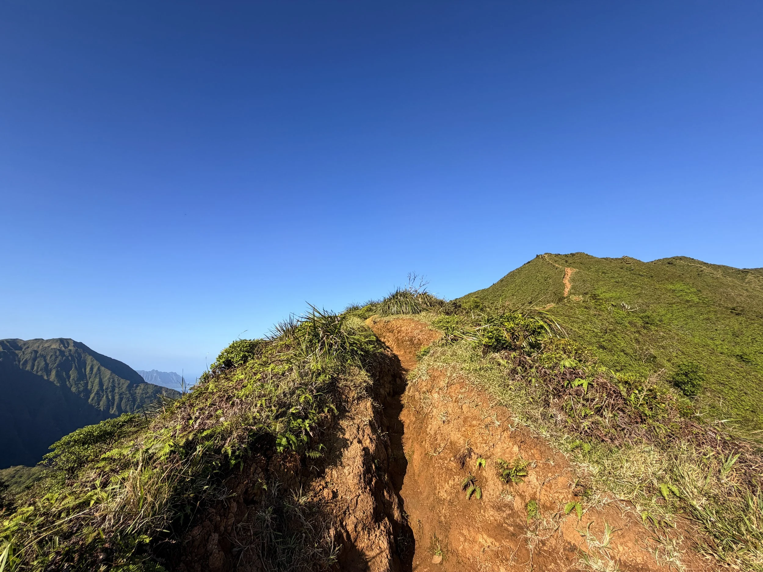 Moanalua Middle Ridge Trail Back Way to Stairway to Heaven Oahu Hawaii