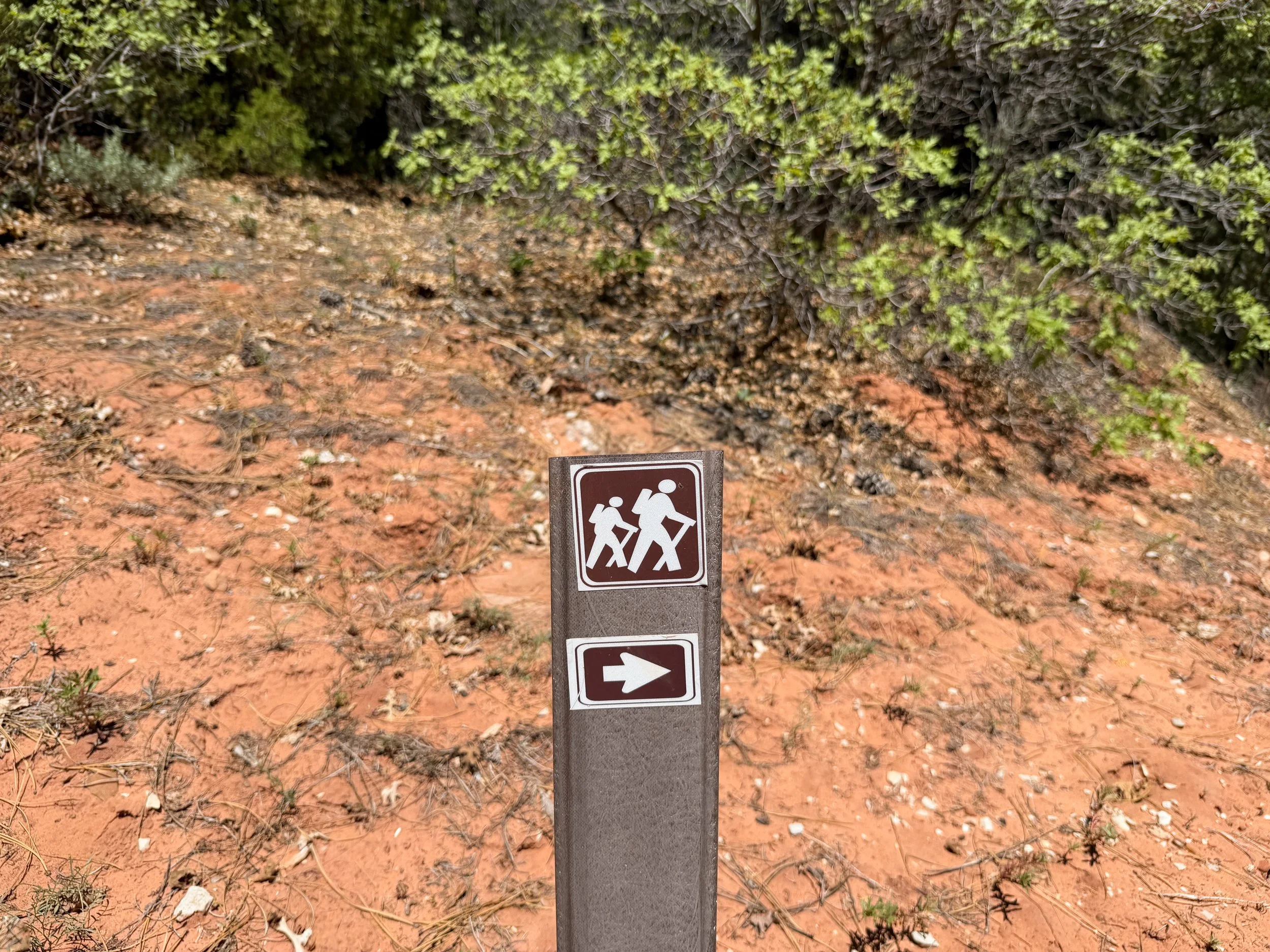Taylor Creek Trail Zion National Park Utah