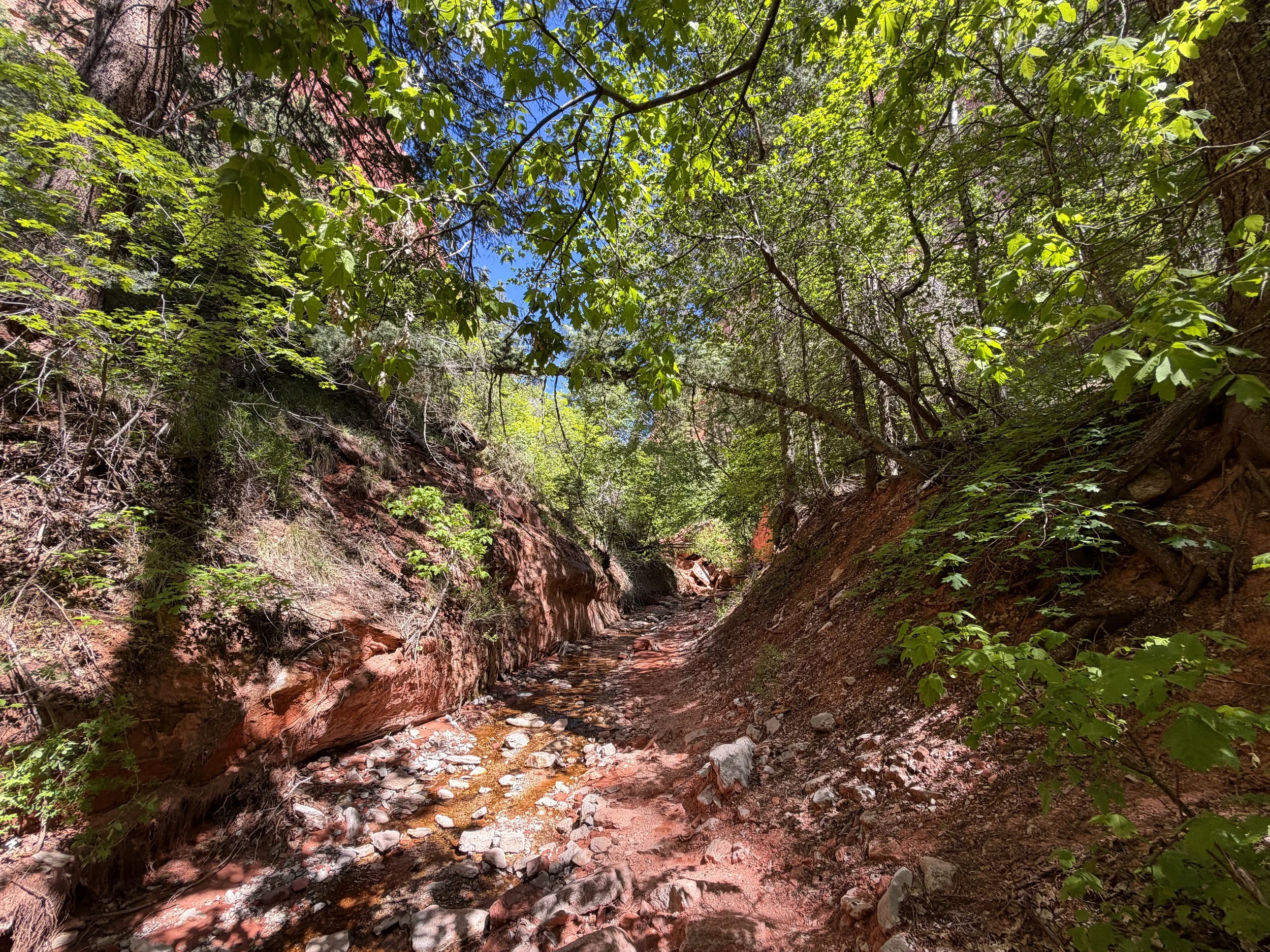 Middle Taylor Creek Trail Zion National Park Utah