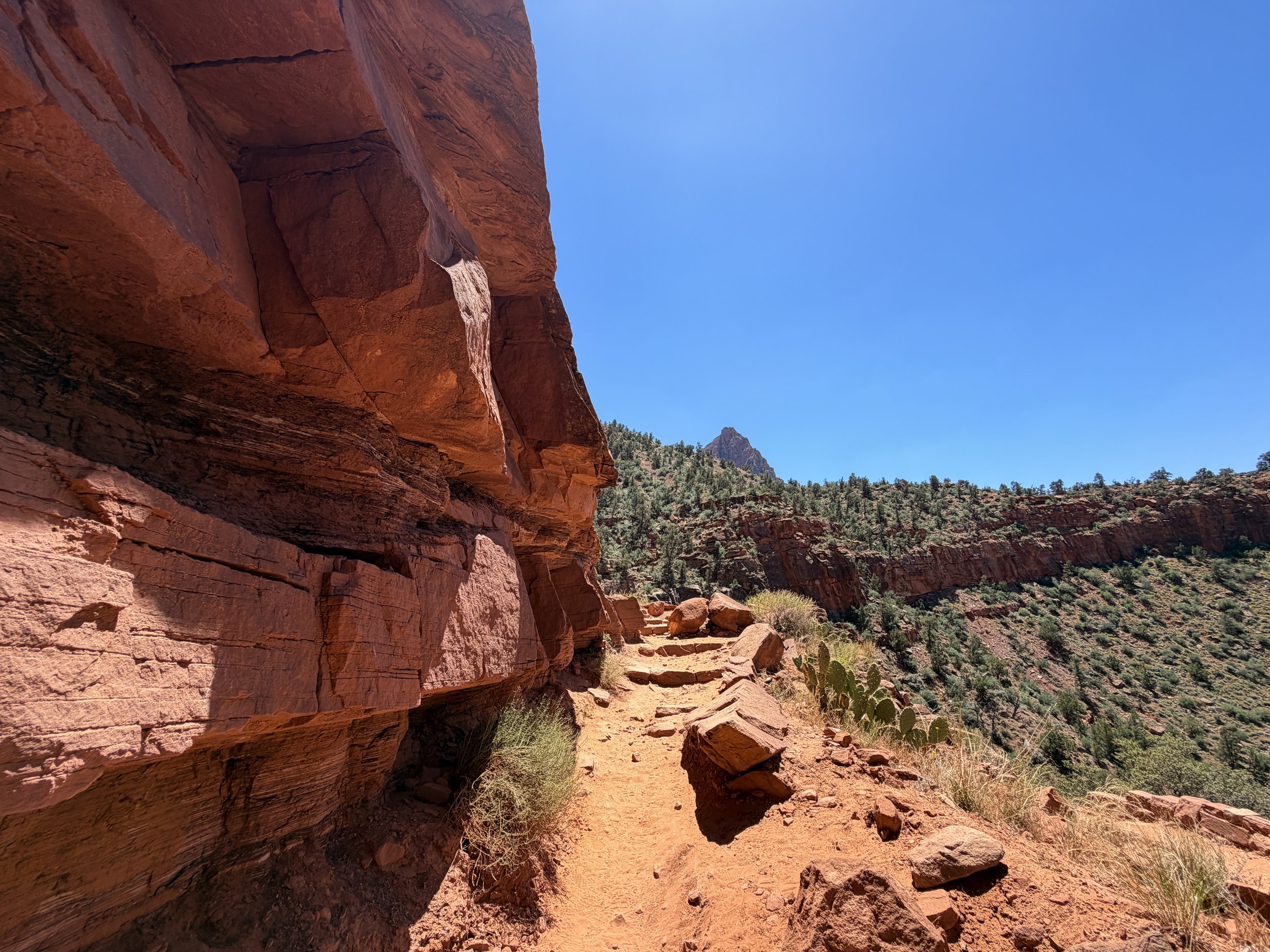 Watchman Trail Switchbacks Zion National Park Utah