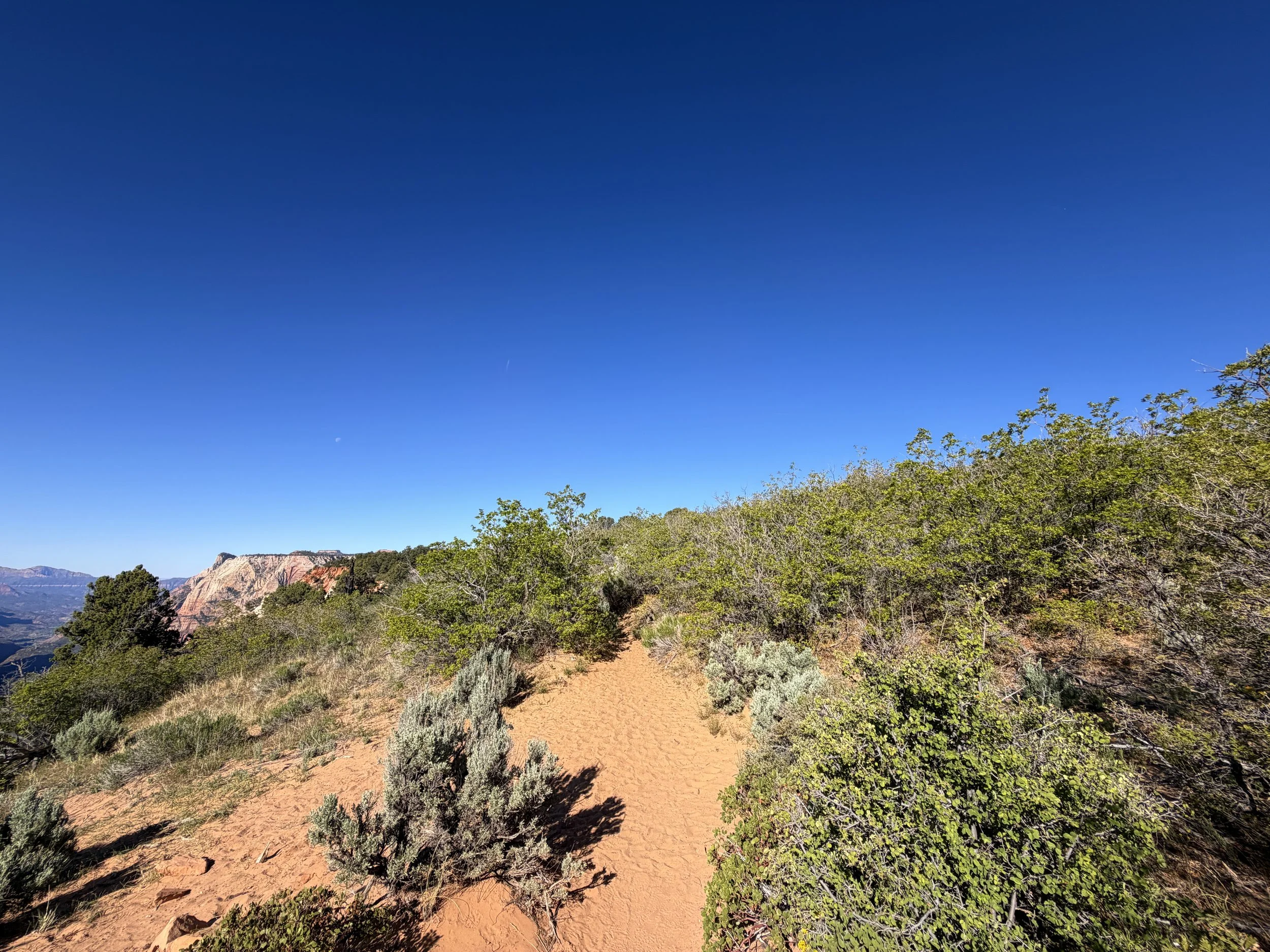 Observation Point Trail Zion National Park Utah