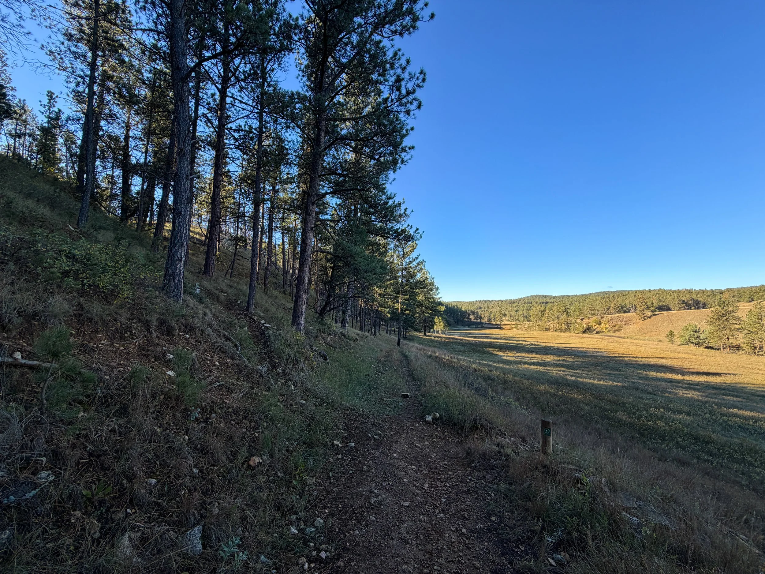 Cold Brook Canyon Trail Wind Cave National Park South Dakota