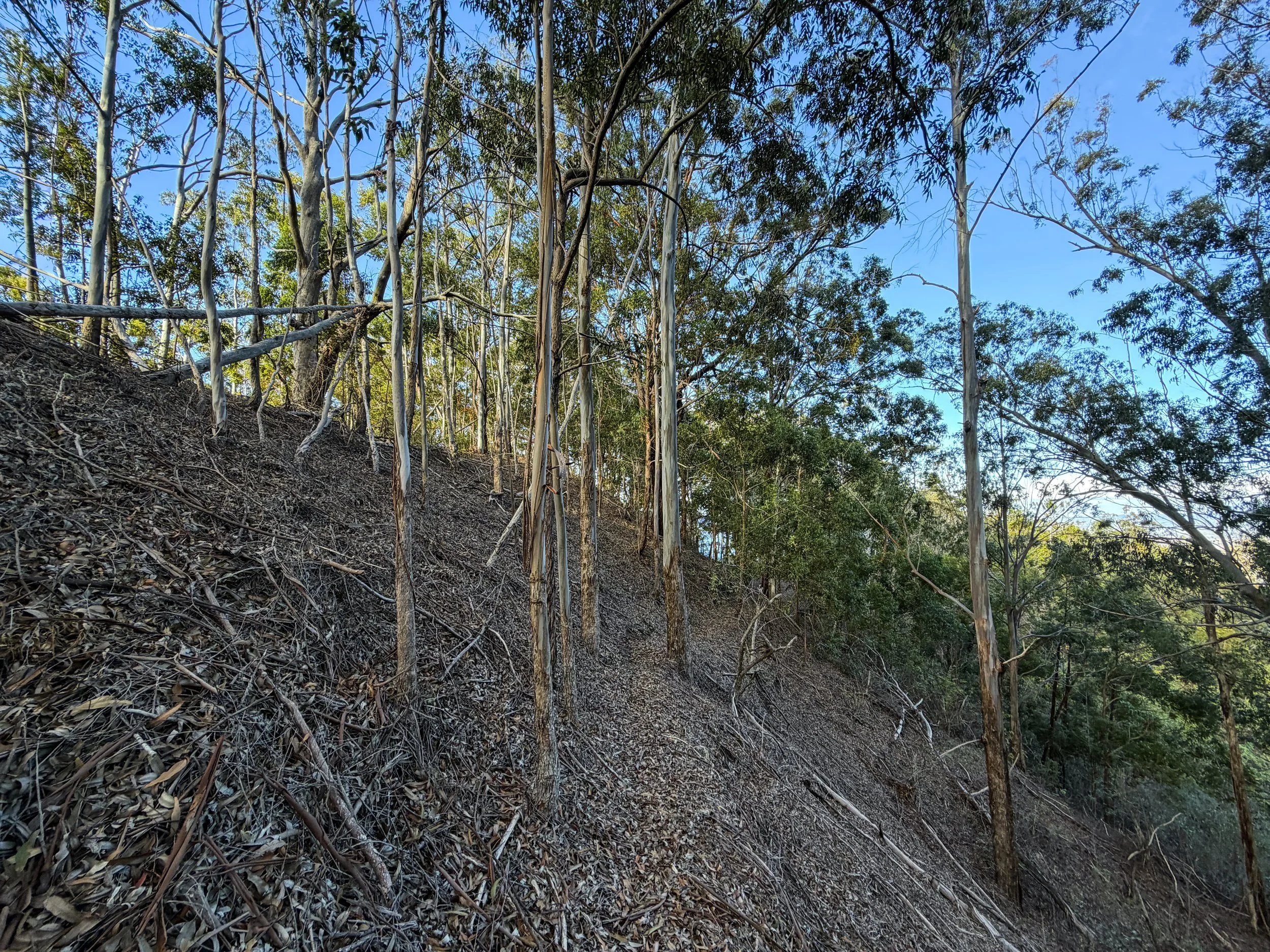 Mokuleia Trail Oahu Hawaii