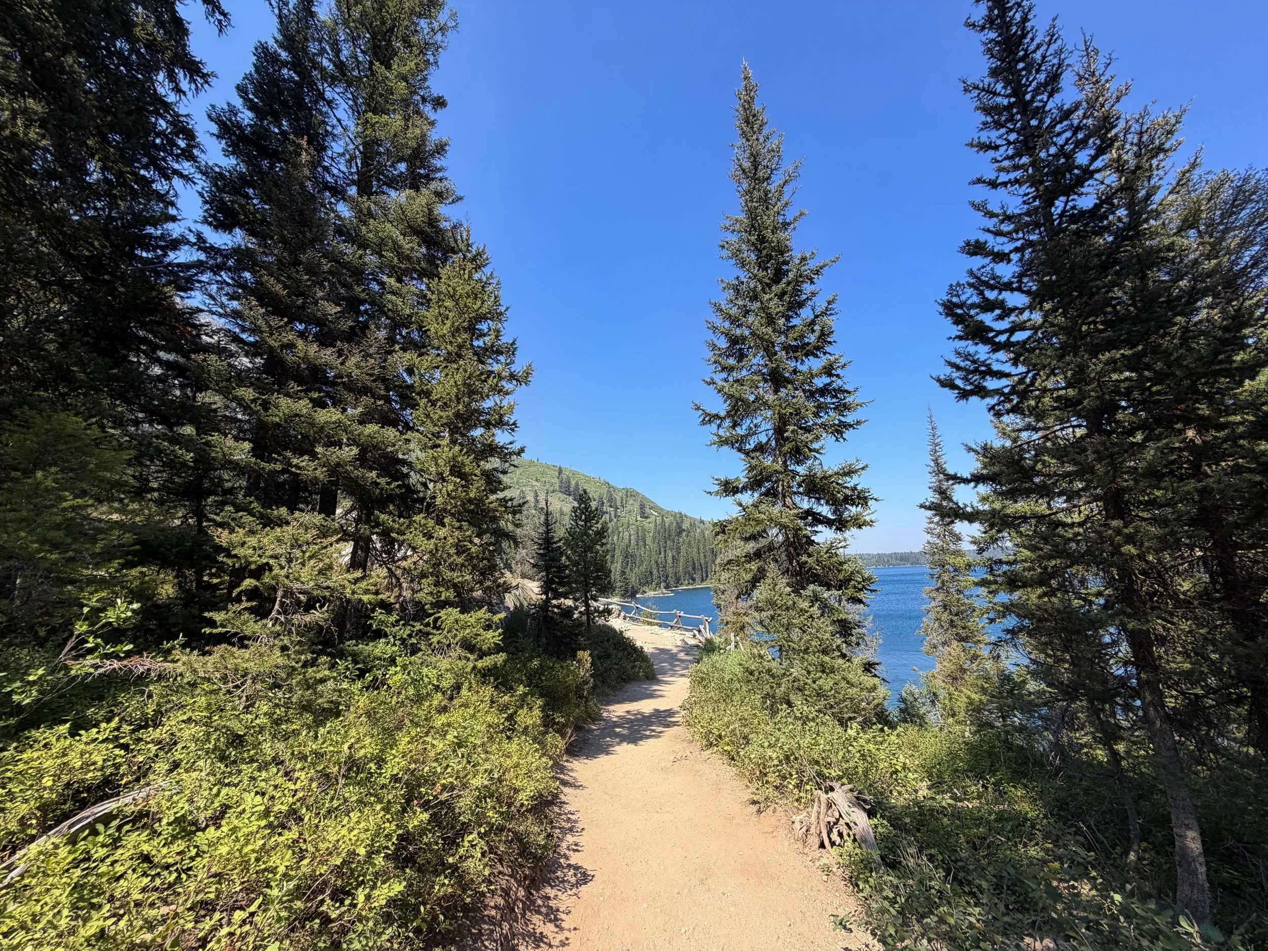 Jenny Lake Loop Trail Grand Teton National Park Wyoming