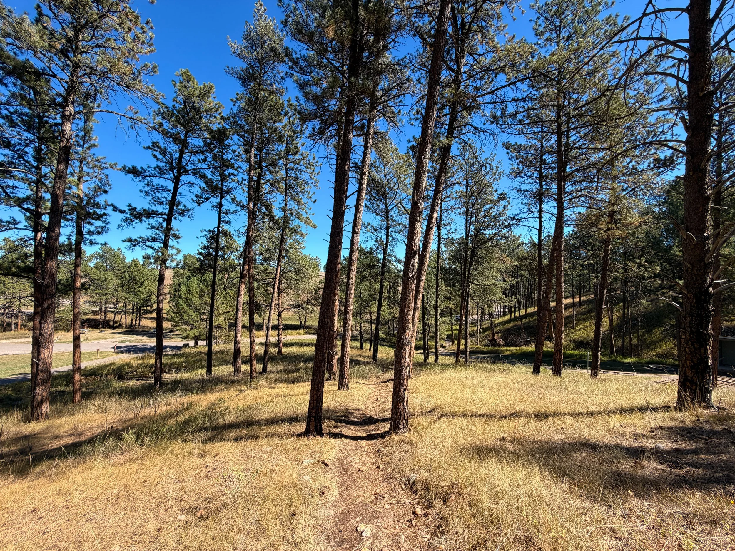 Elk Mountain Nature Trail Wind Cave National Park South Dakota