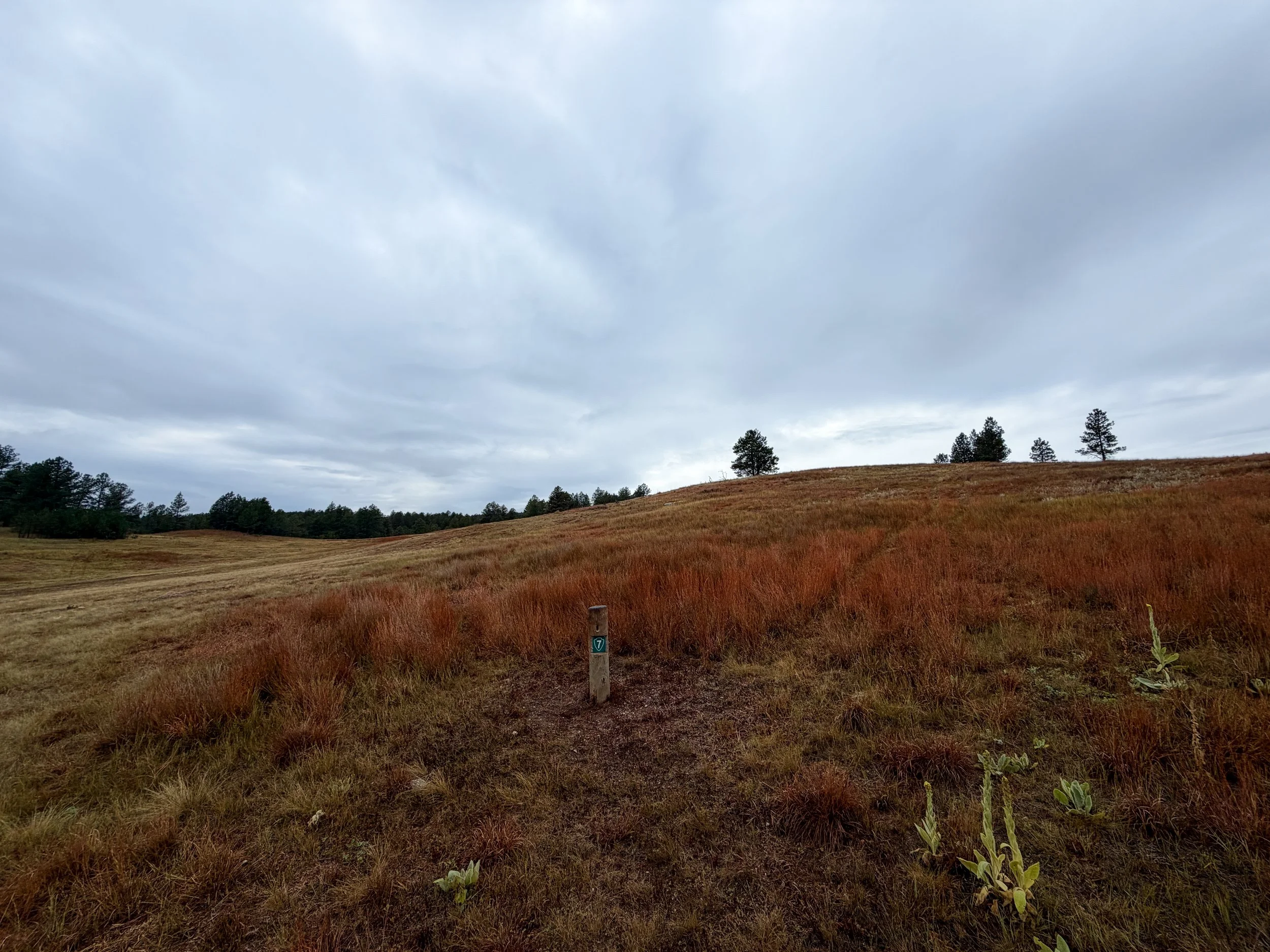Highland Creek Trail to Wind Cave Canyon Wind Cave National Park South Dakota