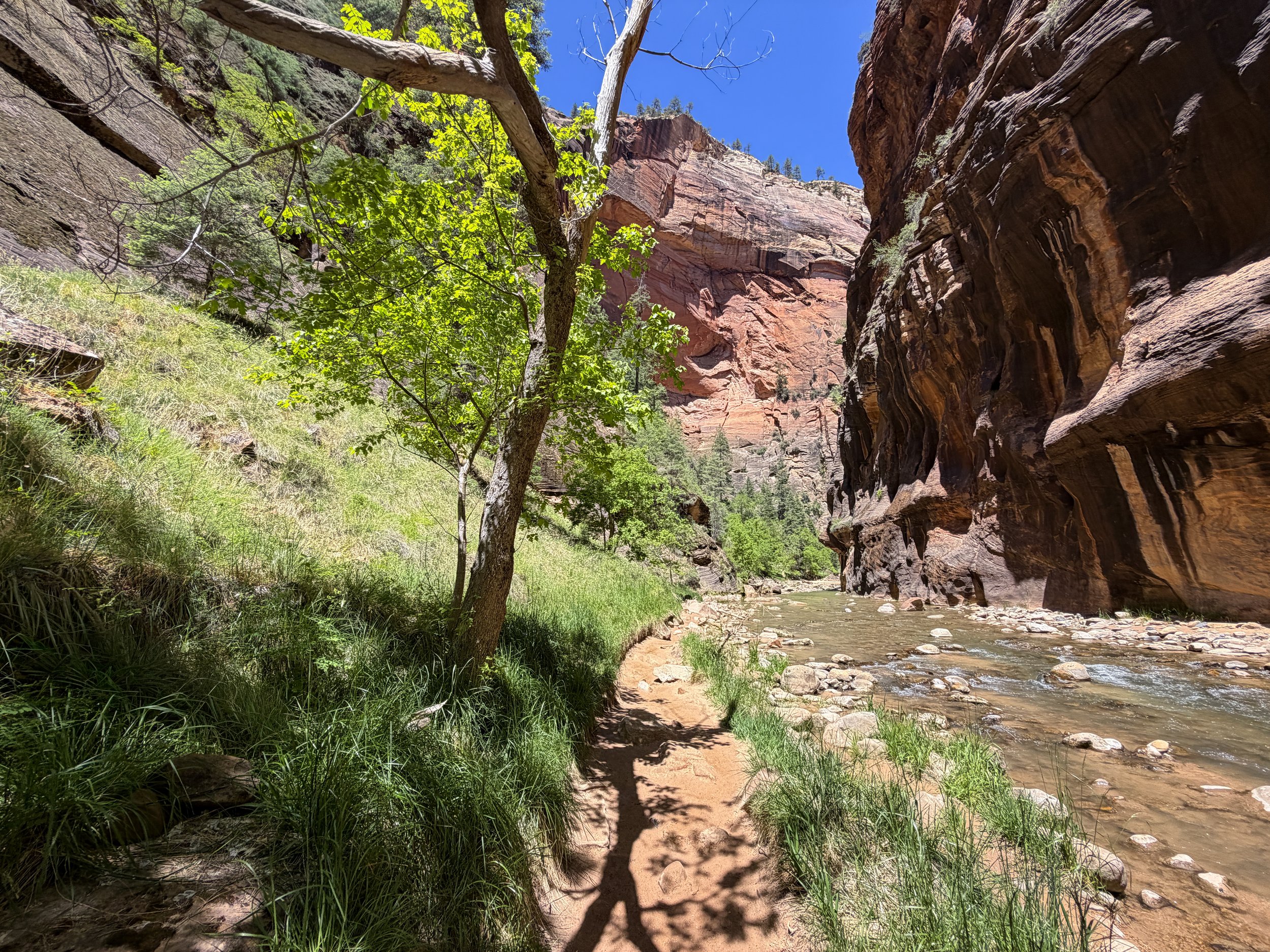 The Narrows Hike Zion National Park Utah