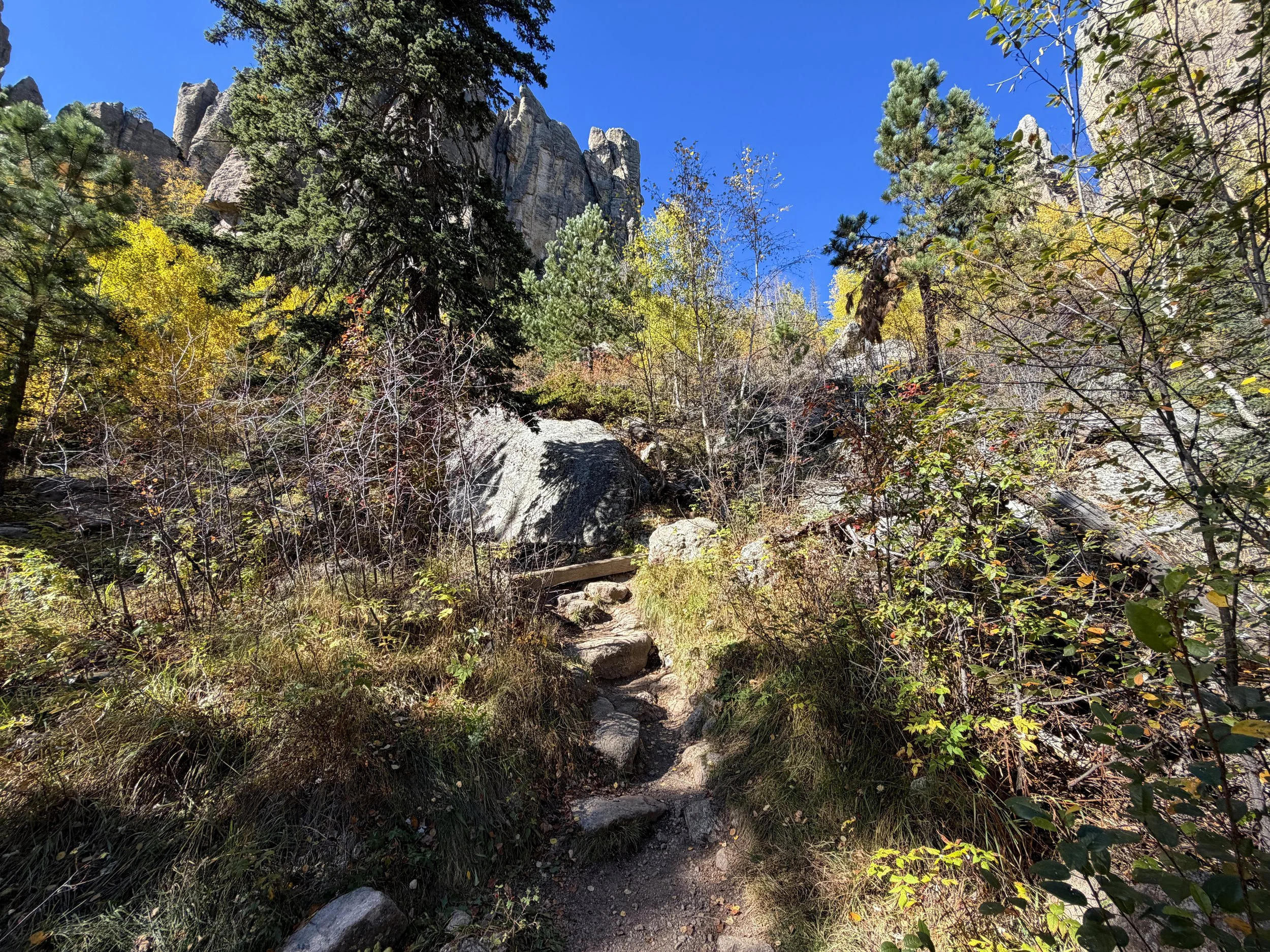 Cathedral Spires Hike Custer State Park Black Hills South Dakota