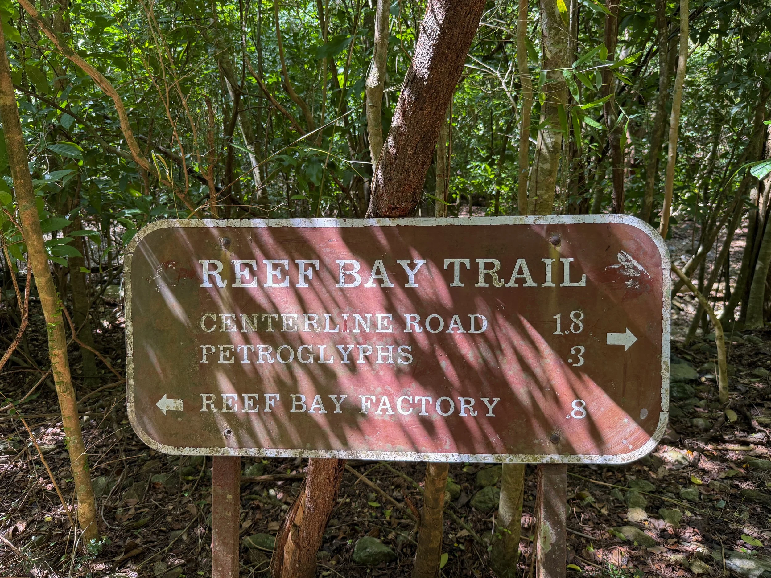 Reef Bay Trail Lameshur Bay Split Virgin Islands National Park