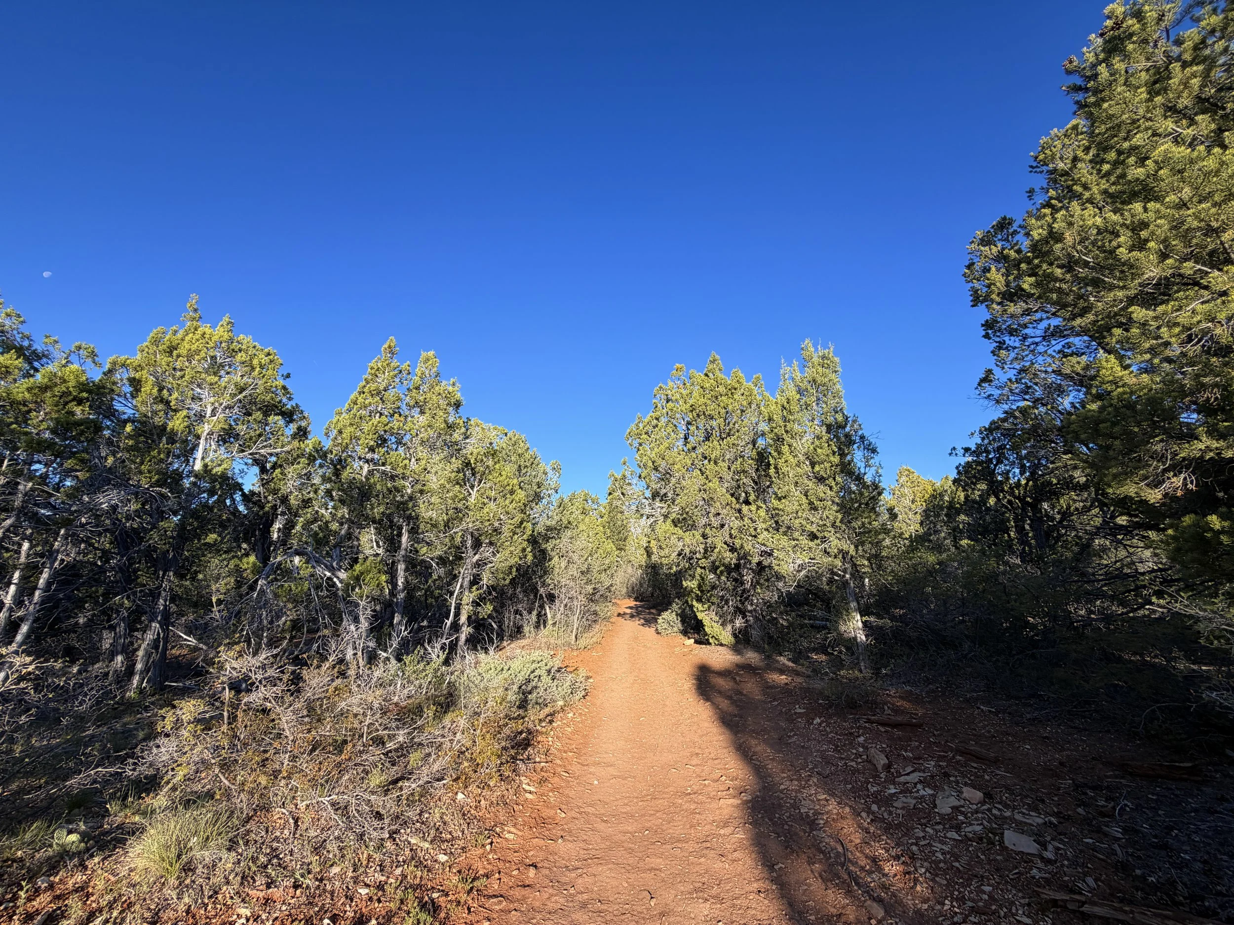 East Mesa Trail to Observation Point Zion National Park Utah