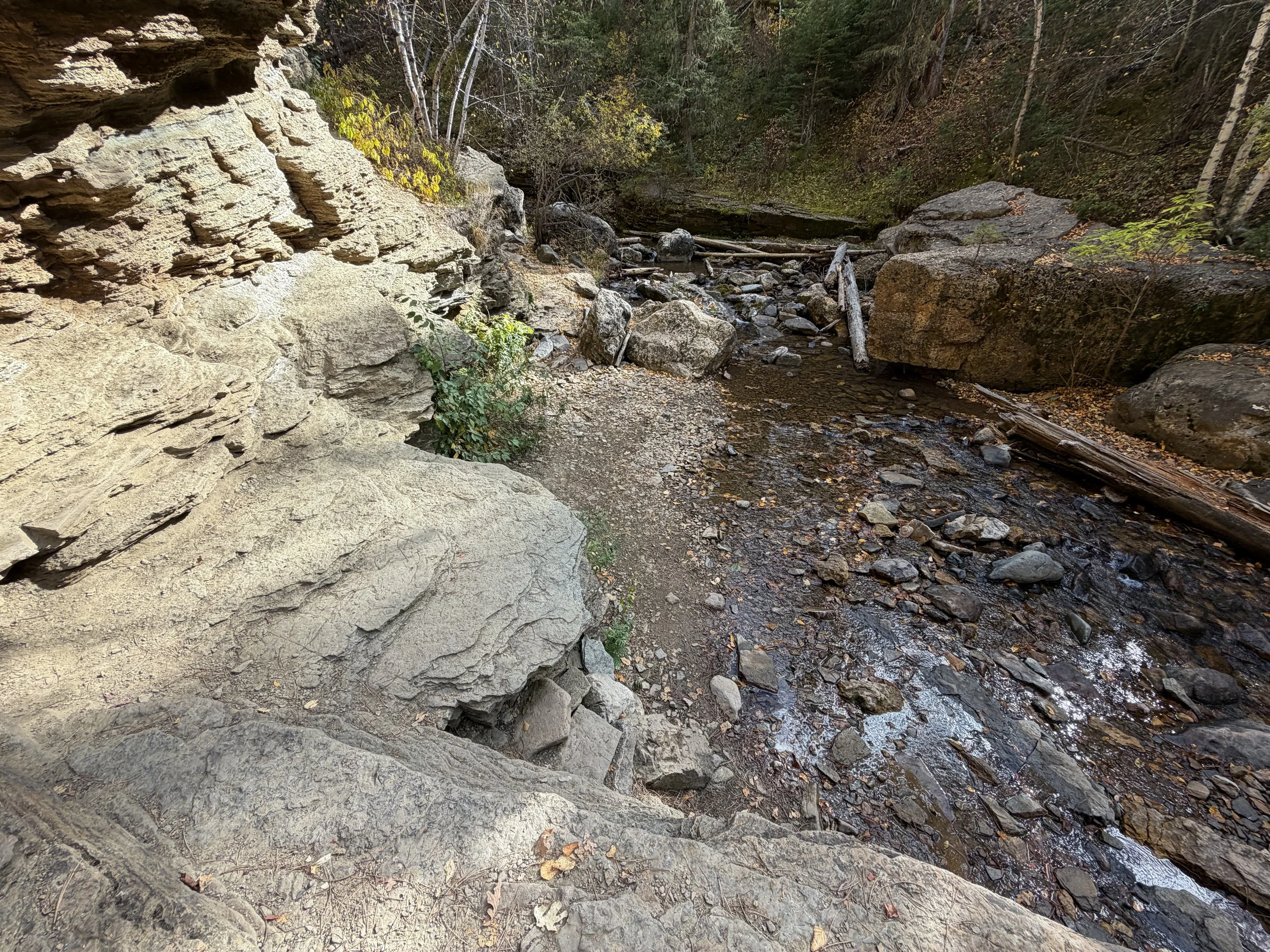 Devils Bathtub Trail Spearfish Canyon Black Hills South Dakota