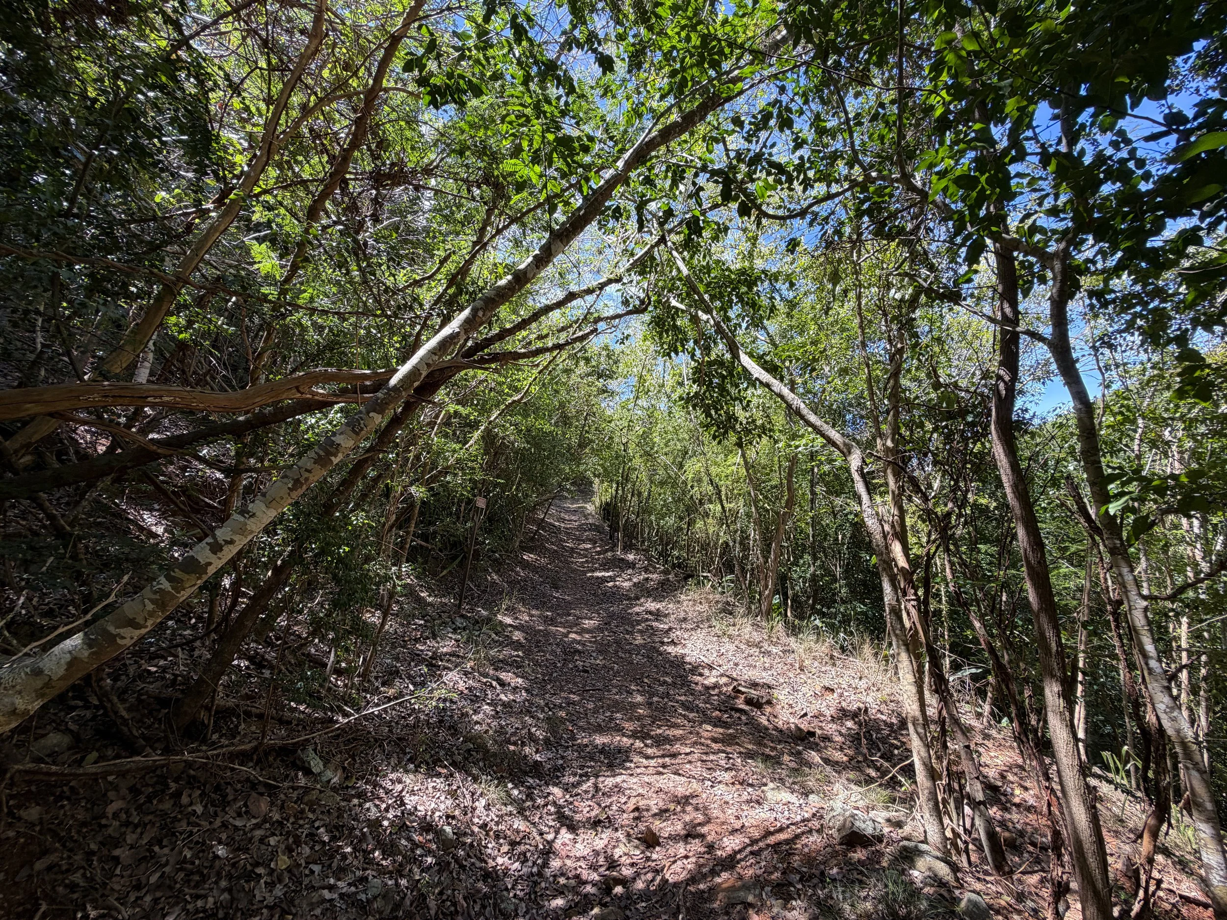 Lameshur Bay Trail Virgin Islands National Park