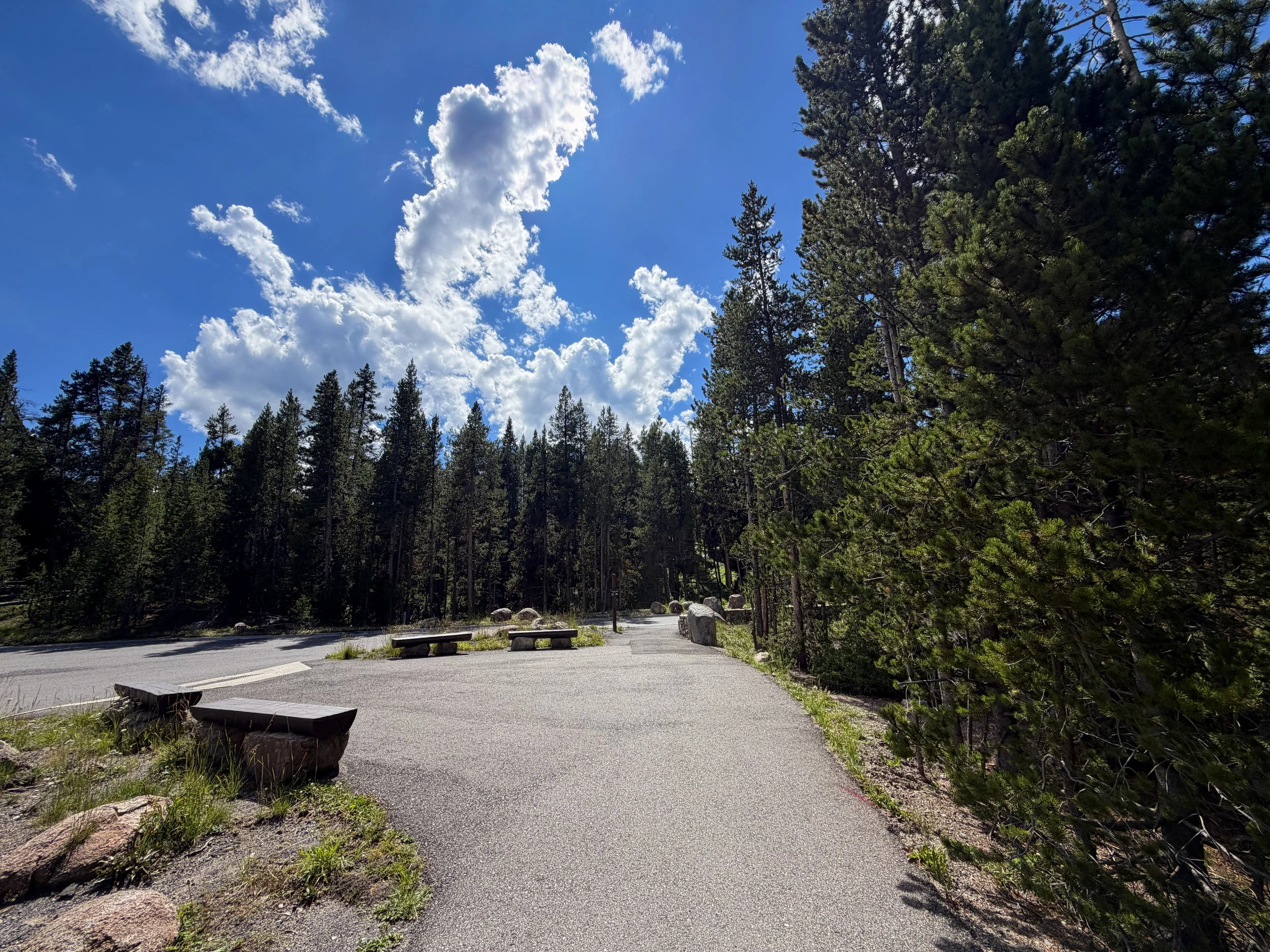 North Rim Trail Yellowstone National Park Wyoming
