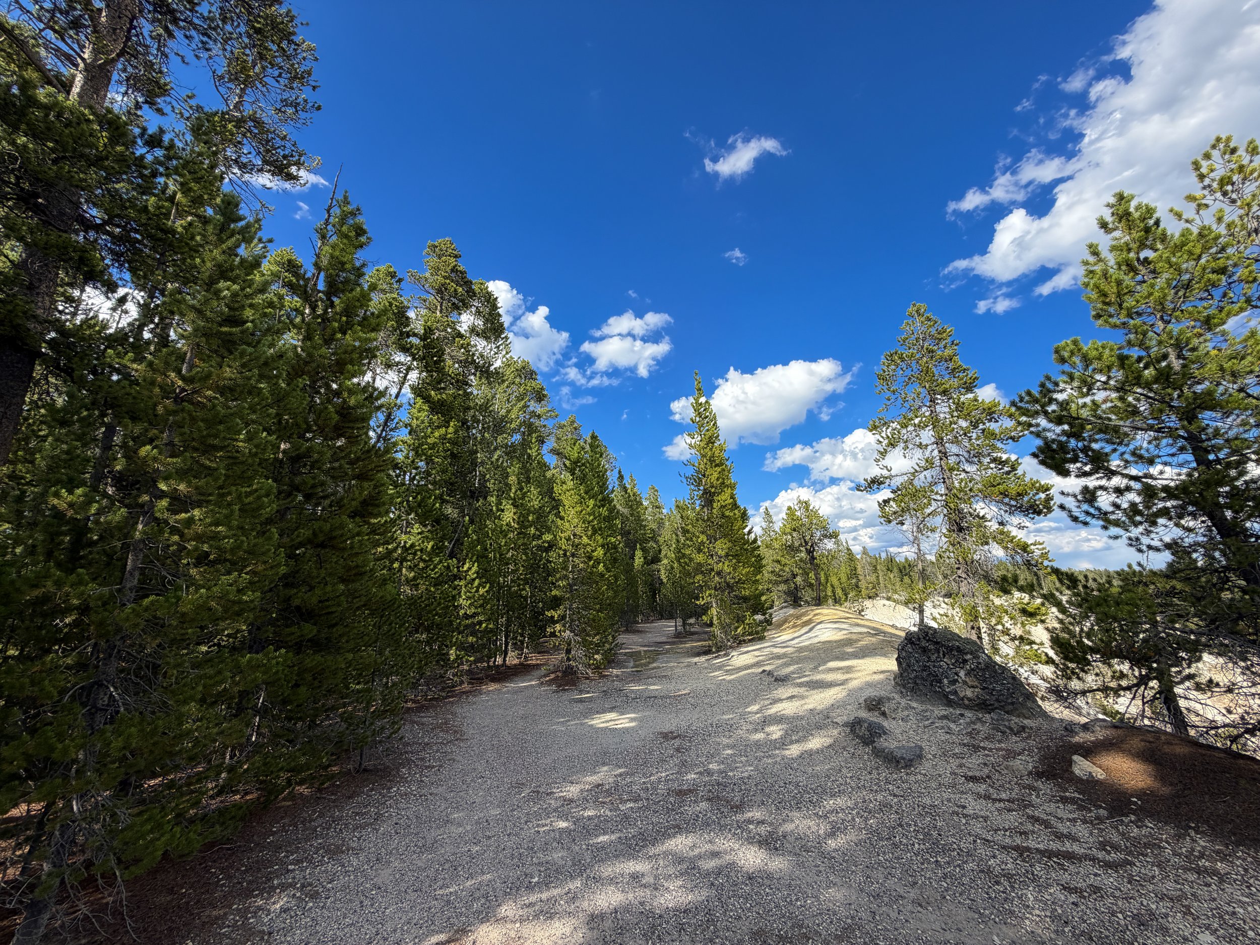 North Rim Trail Yellowstone National Park Wyoming