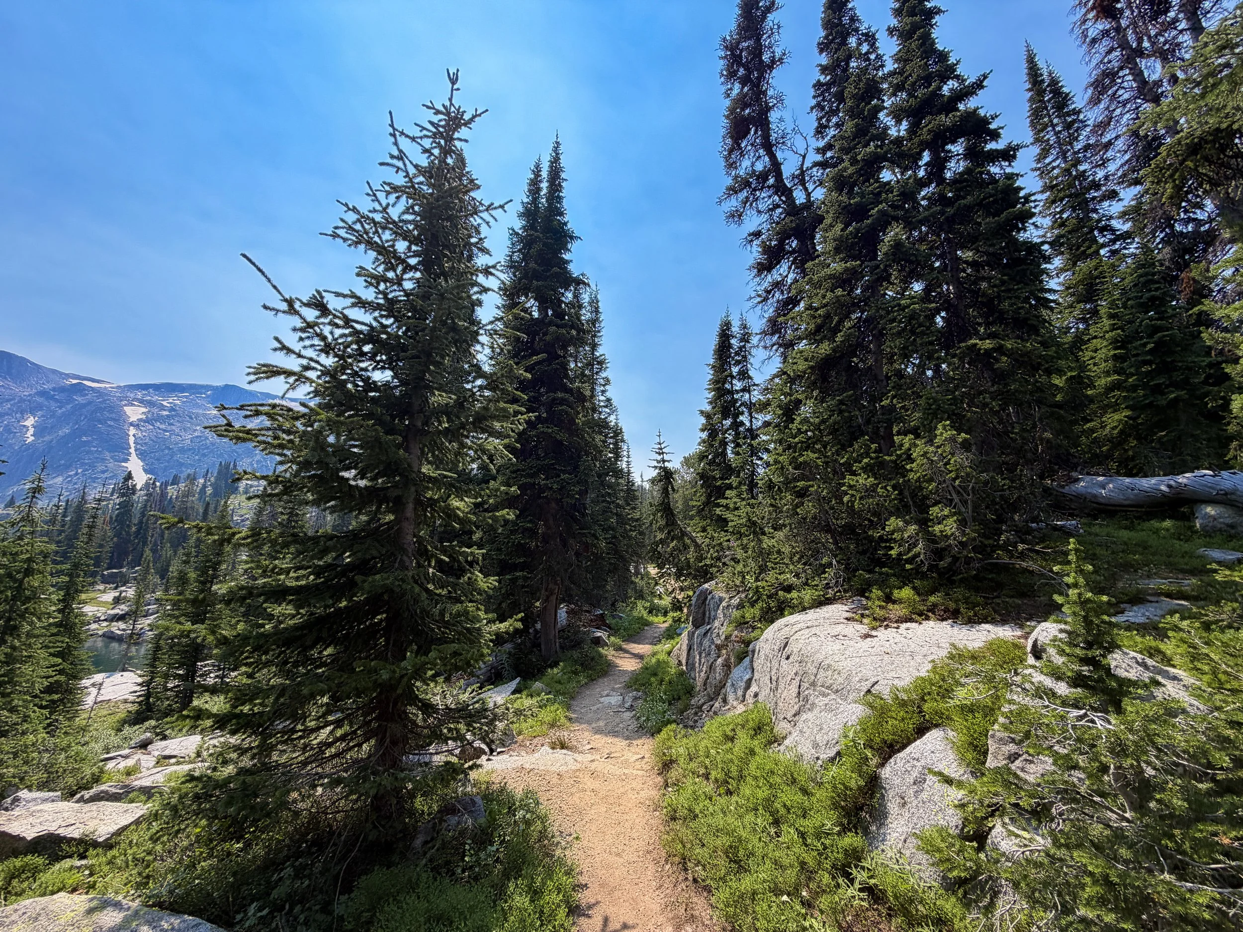 The Beaten Path Trail Beartooth Mountains Montana