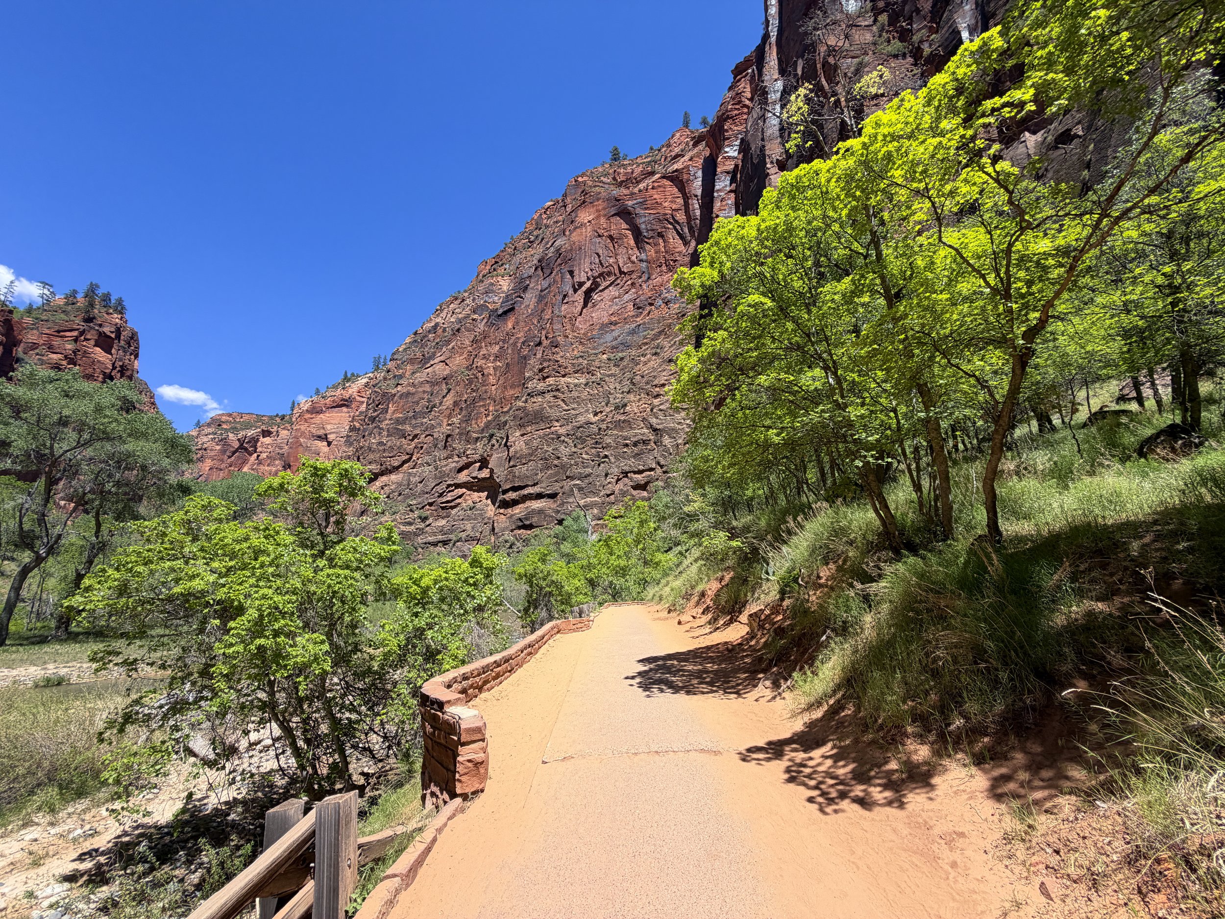 Riverside Walk Zion National Park Utah